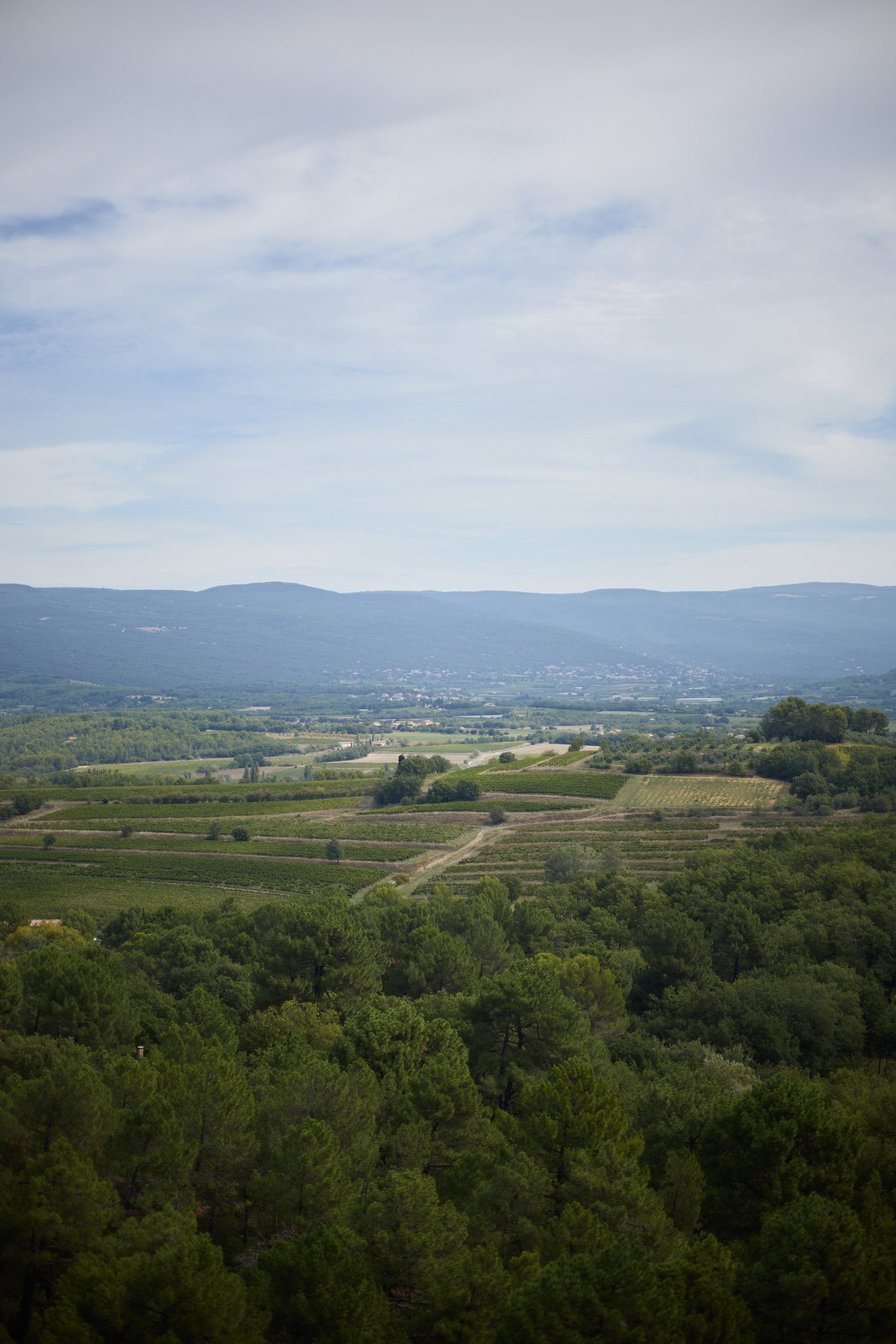 France (Provence & Paris) Sep'25. Анастасия Зобнинá — фотограф в Санкт-Петербурге/СПб