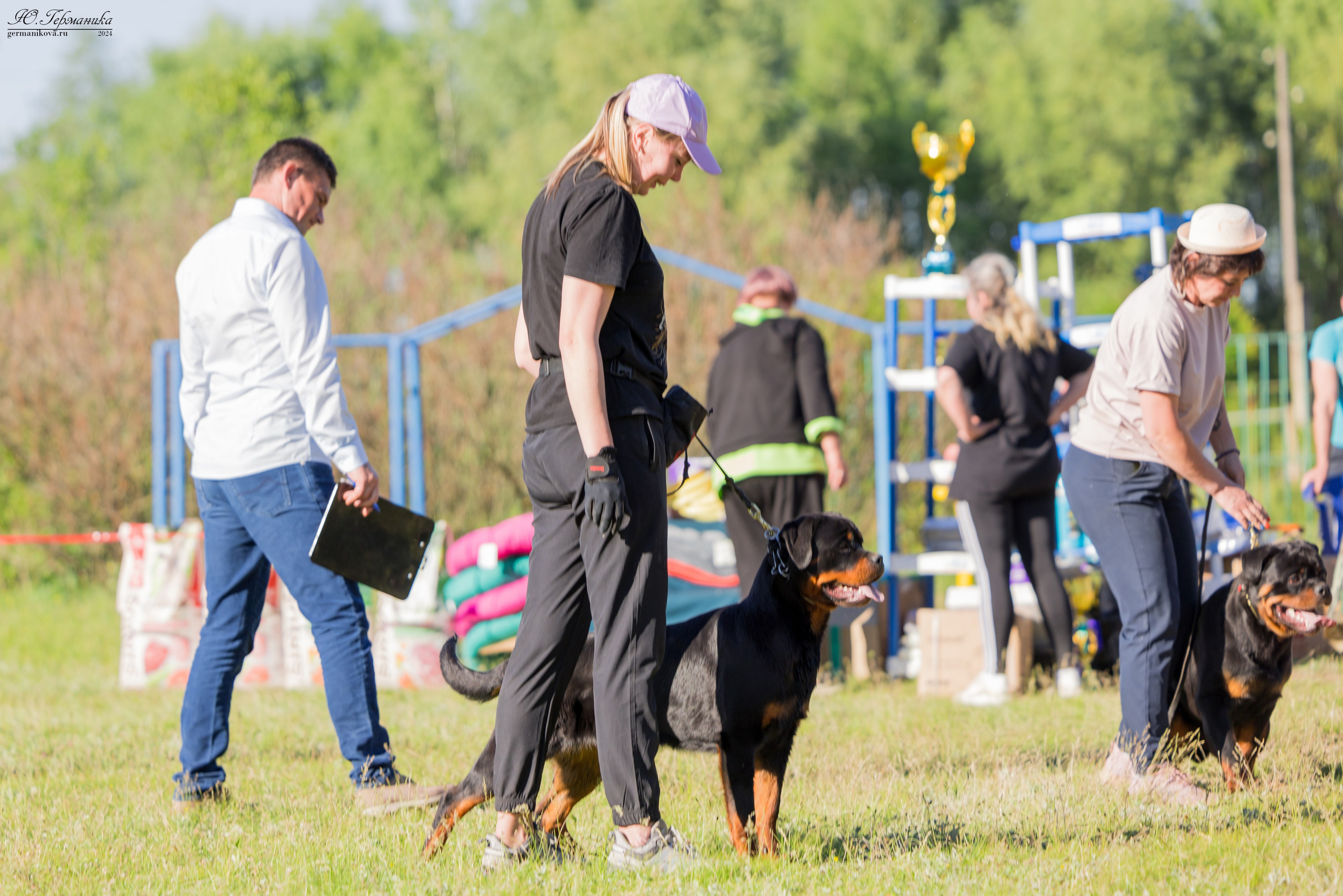 Воронеж моно ротвейлеров 25-26.05.2024. Фотограф-анималист Юлия Германика