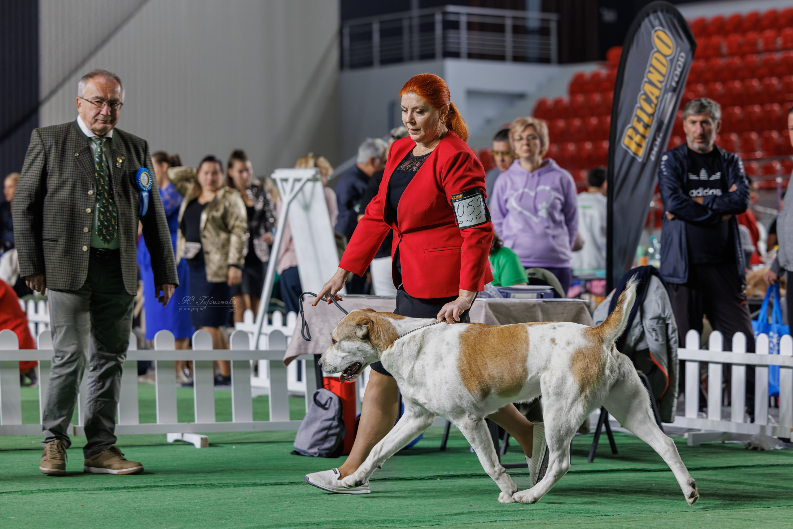 Телави 11-12.10.2025. Фотограф-анималист Юлия Германика