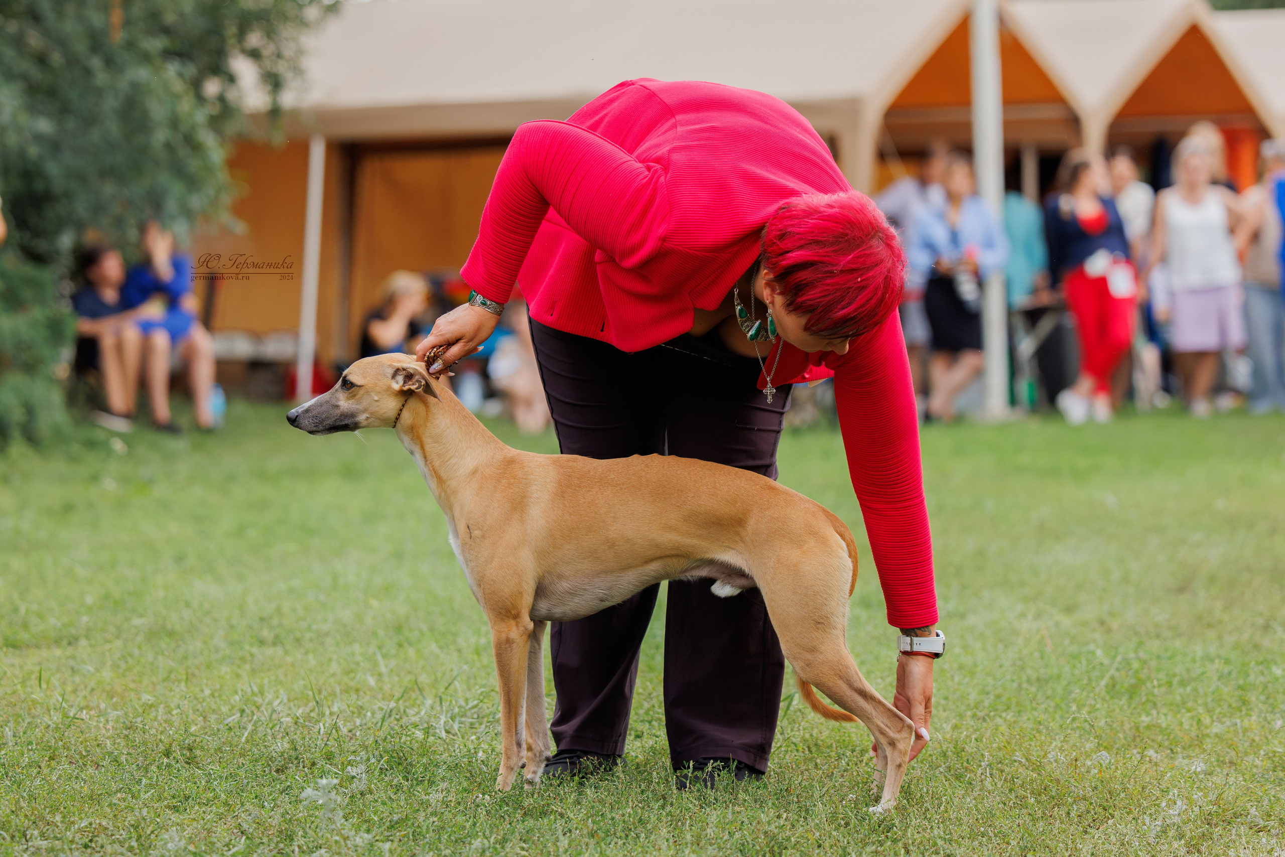 Астана 2хCACIB 17-18.08.2024. Фотограф-анималист Юлия Германика