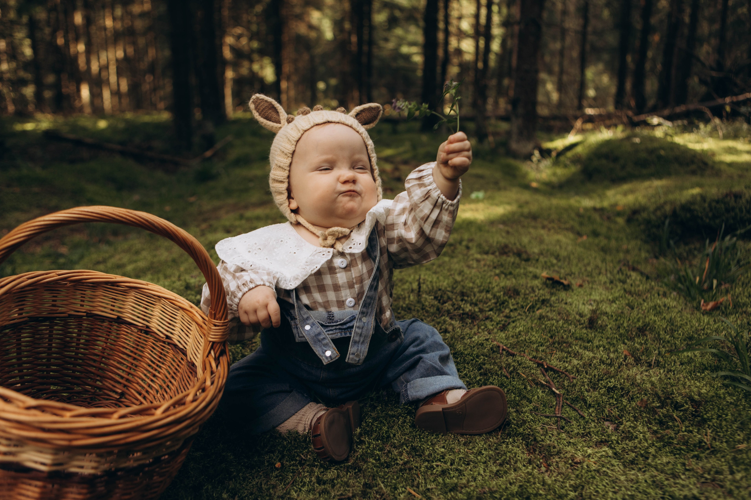Лесная история. Наталья Косьянова. Ваш фотограф. Москва