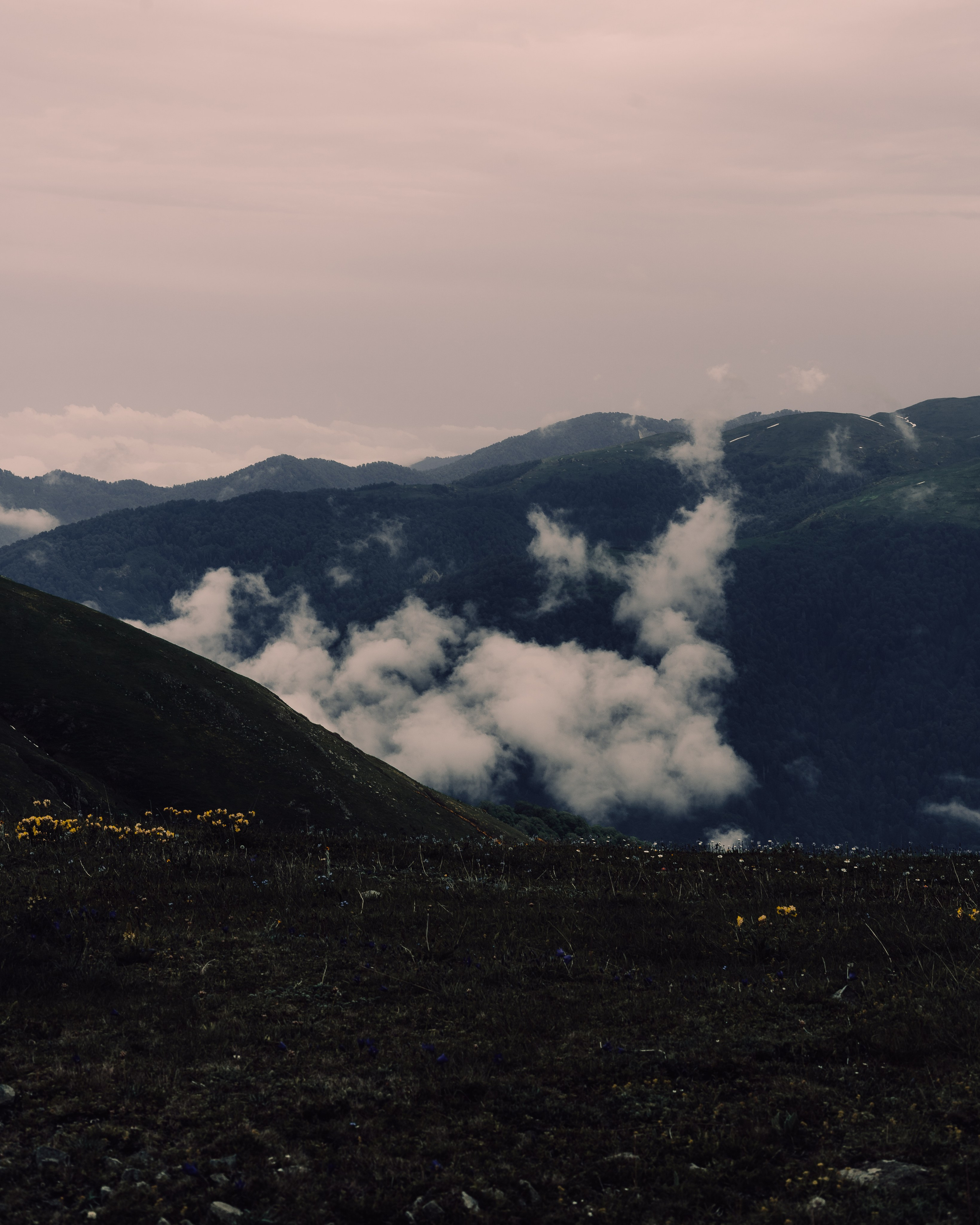 ГОМИС МТА. Photographer Barcelona