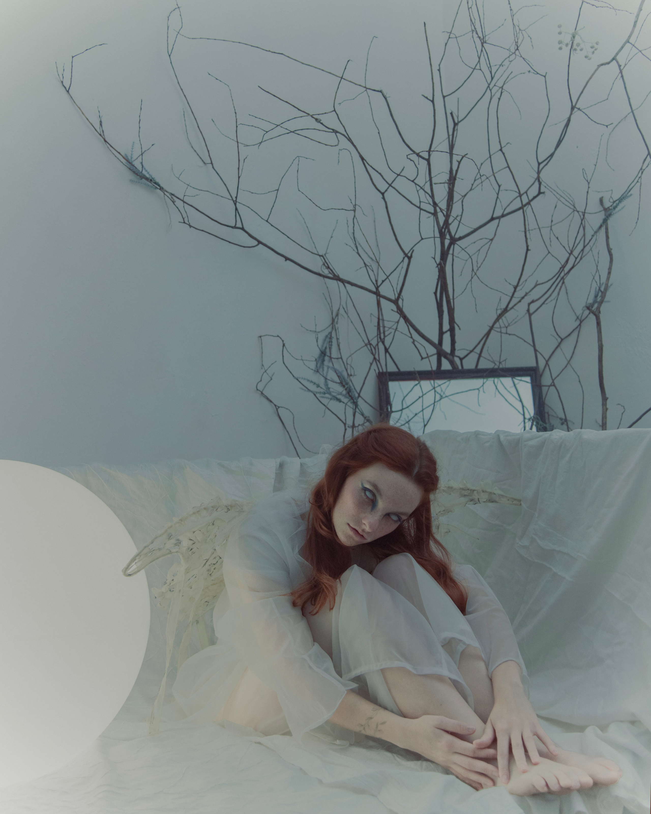 Мотылек. Фотограф Anita Mivchas