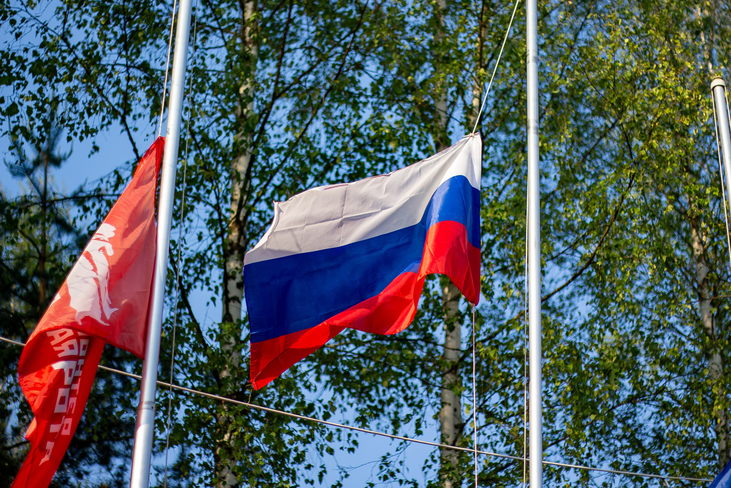 1-я смена во Ржеве 2025. Фотограф • Орехово-Зуево • Балашиха • TEFO