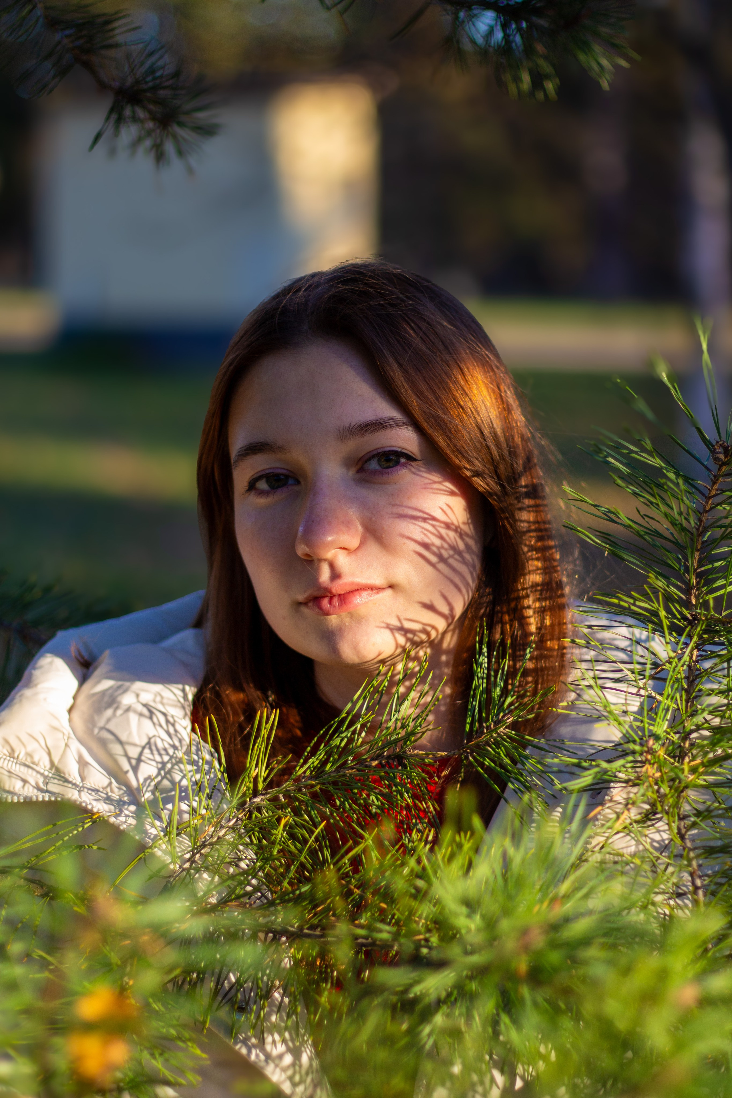 Золотая осень. Фотограф • Орехово-Зуево • Балашиха • TEFO