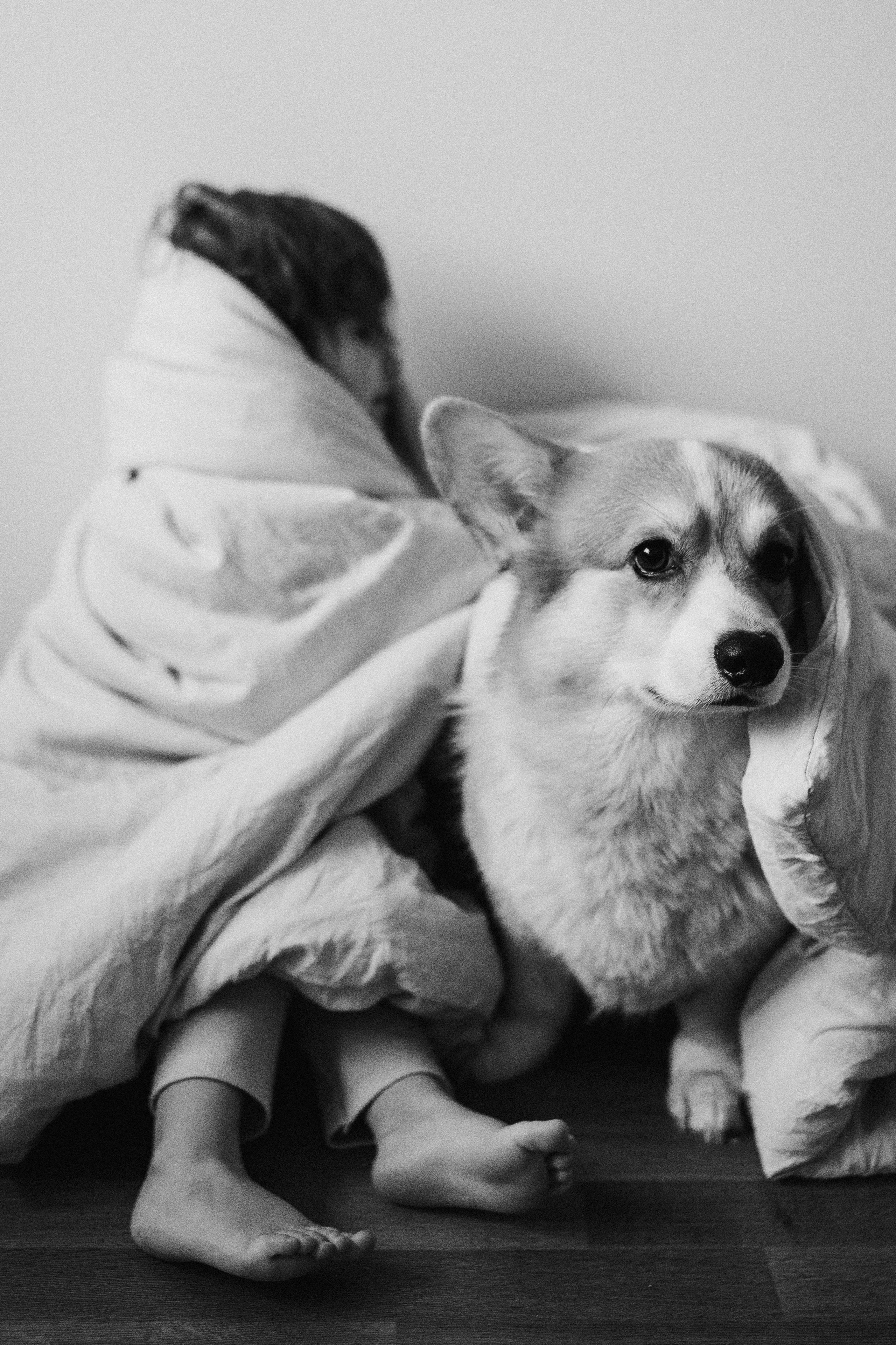 Дом там, где семья. Свадебный и семейный фотограф в Москве Ксения Шведова