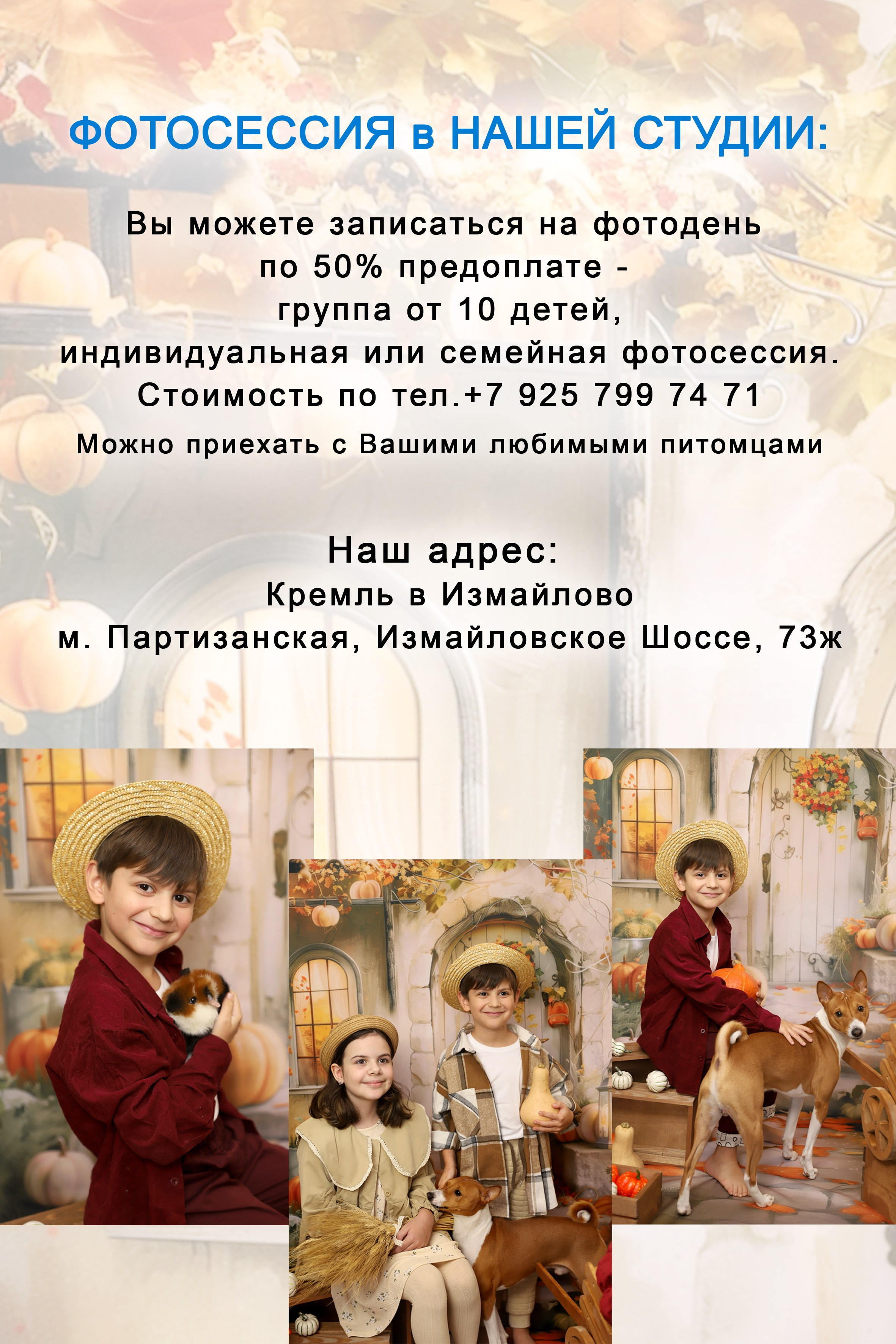 ФОТОПРОЕКТ ОСЕНЬ ЗОЛОТАЯ для детских садов. Портфолио