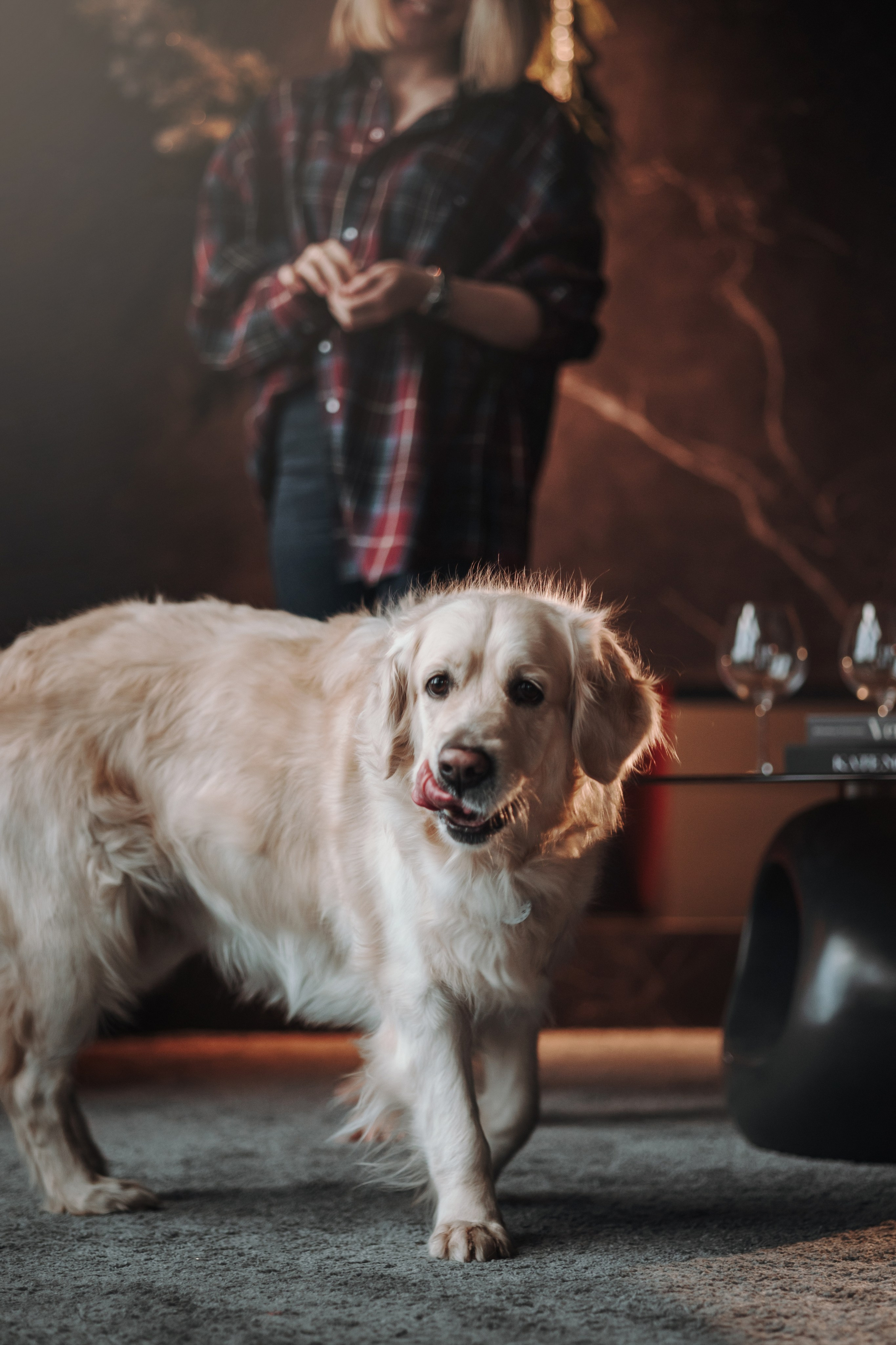 Вика и Рози. Фотограф — Анималист | Санкт-Петербург