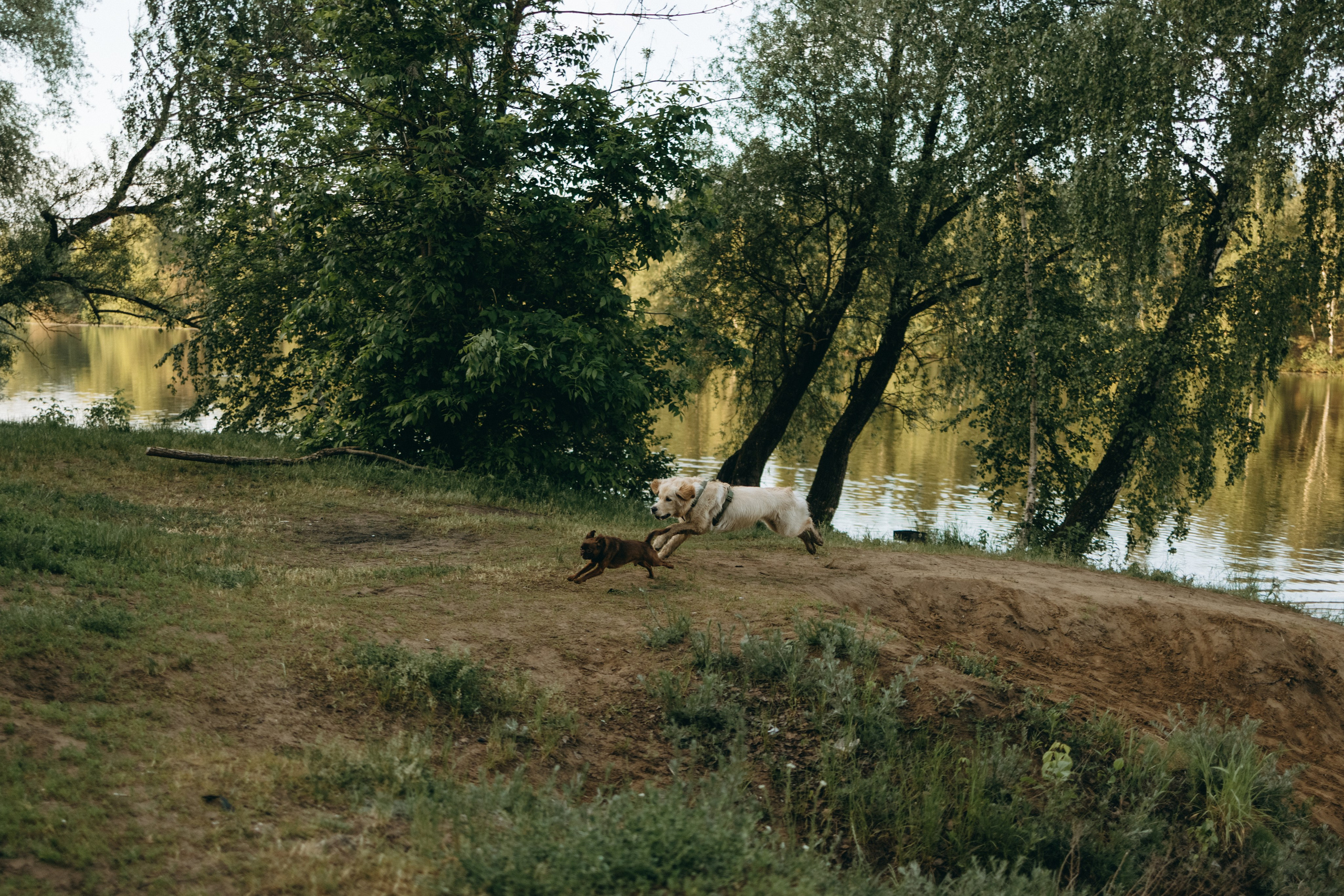 Екатерина и Лёня. Фотограф — Анималист | Санкт-Петербург