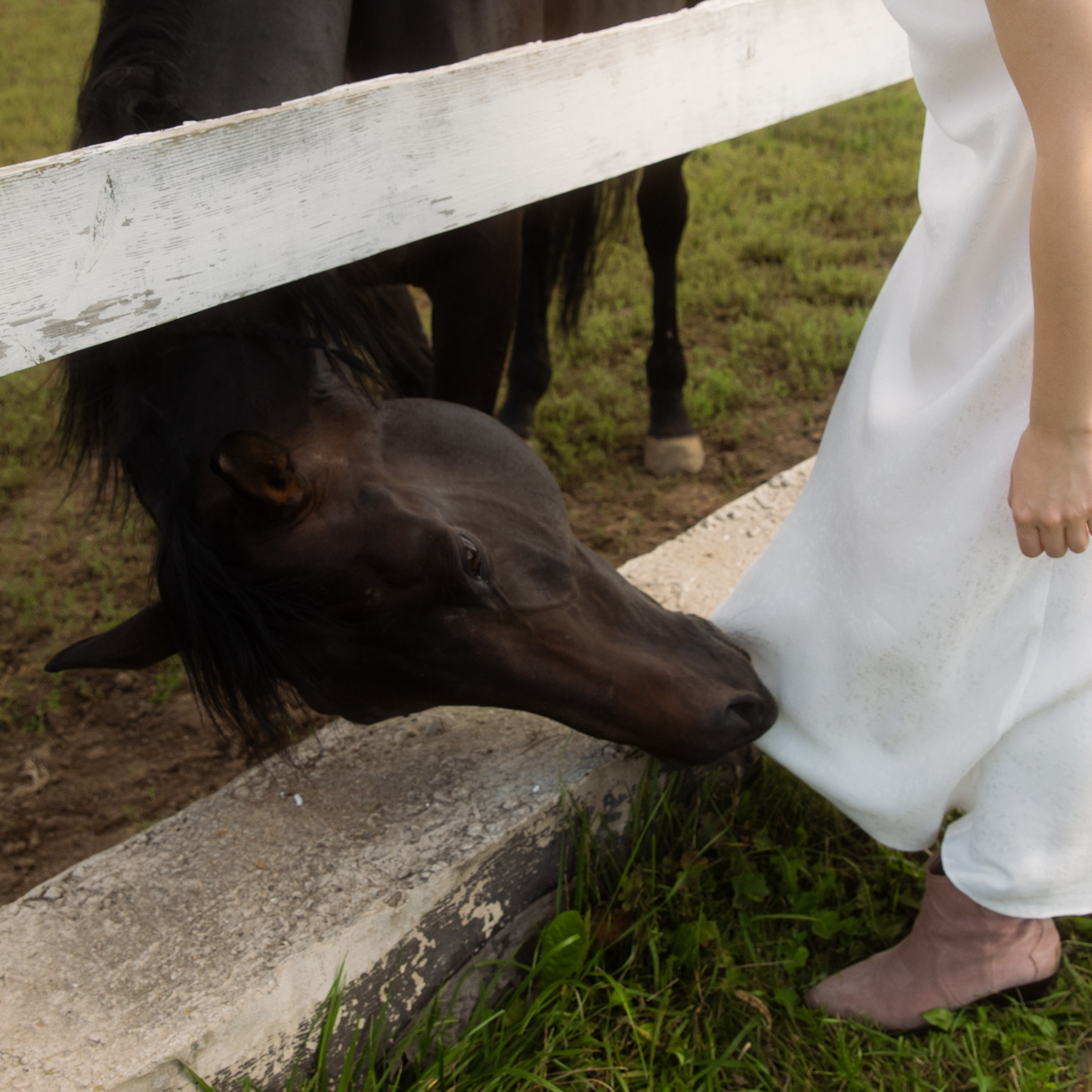 Алиса и Слава, роспись в Москве и вечеринка на природе, подальше от города. Фотограф в Москве Екатерина Черненко