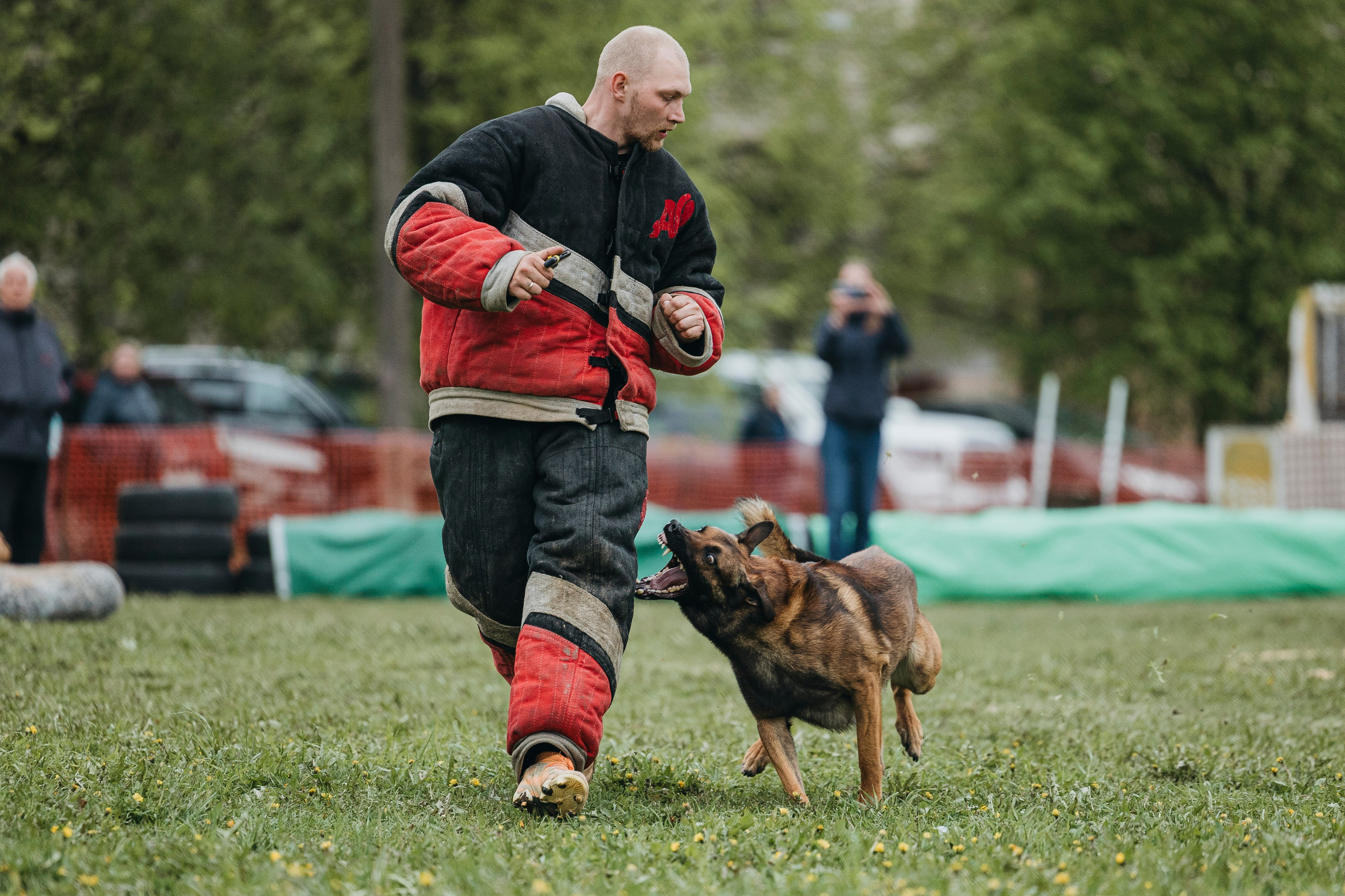 26.05.25 г. Пушкин квалификационные соревнования. Фотограф-анималист Анна Маринич