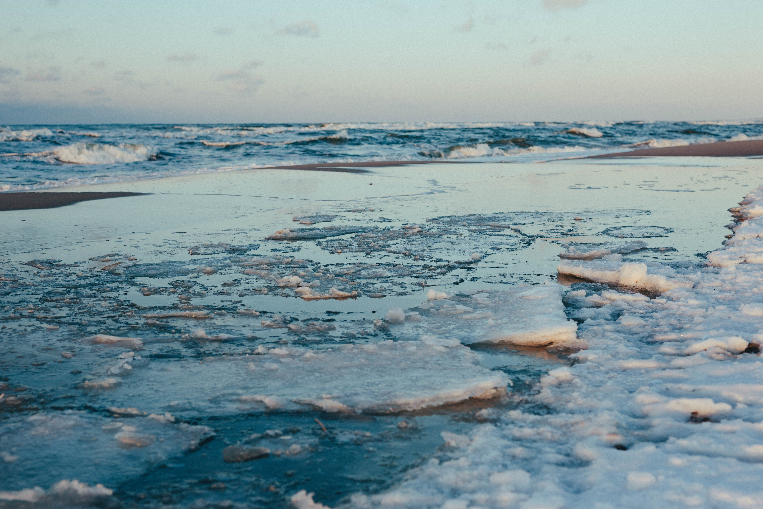 Море + ветер + чайки = Балтика. Фотограф Зеленоградск Красильникова Елена