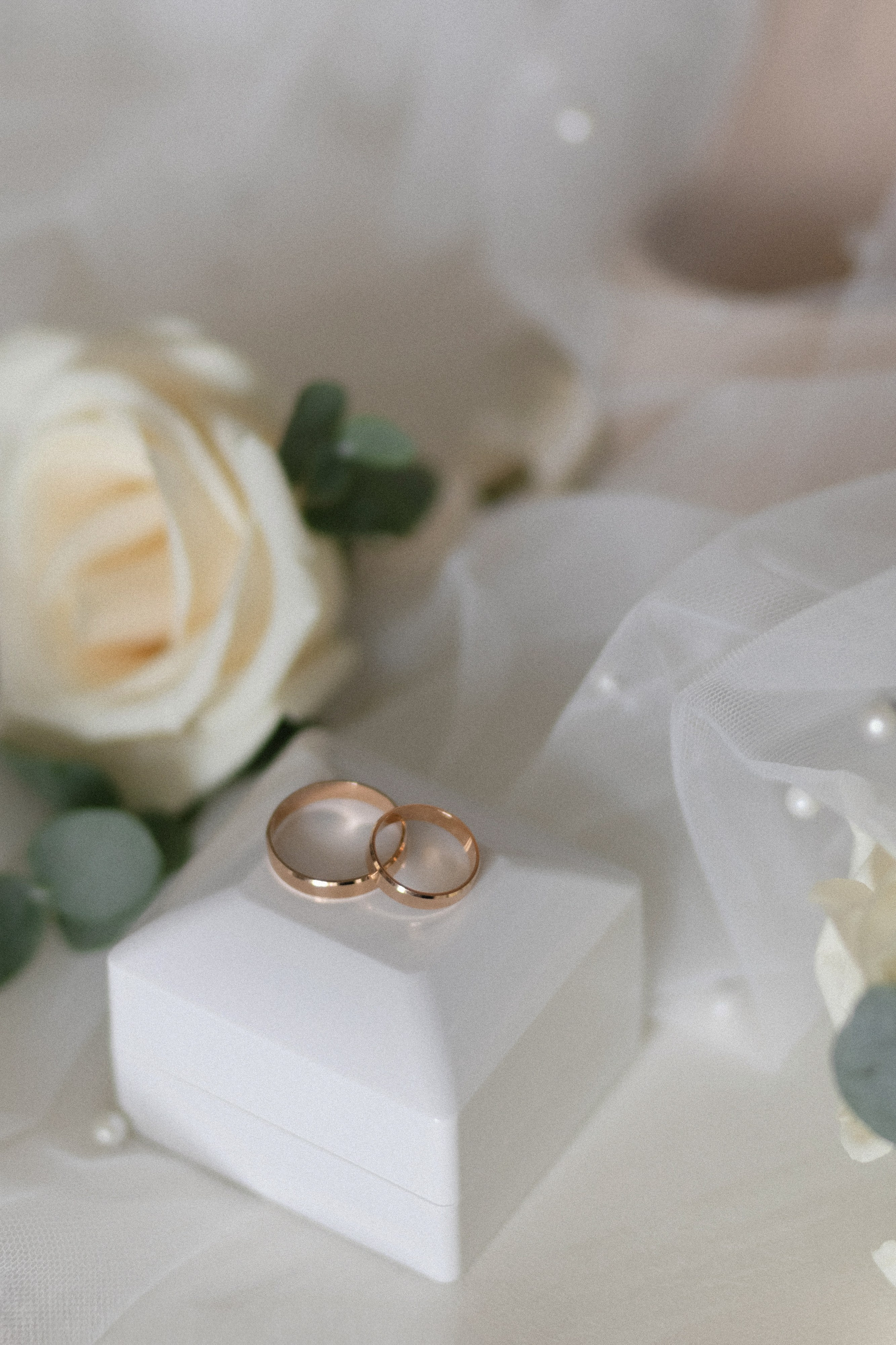 ВЕРА & ДМИТРИЙ ` 22.08.25. Maria Startseva Photo