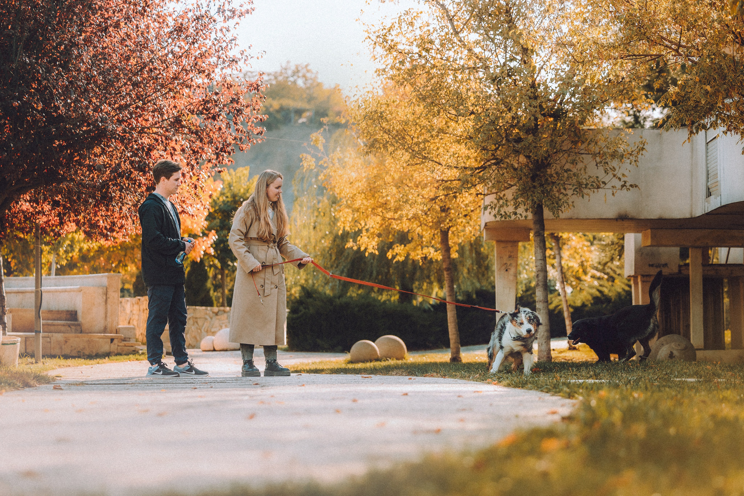 Саша, Рома и Один