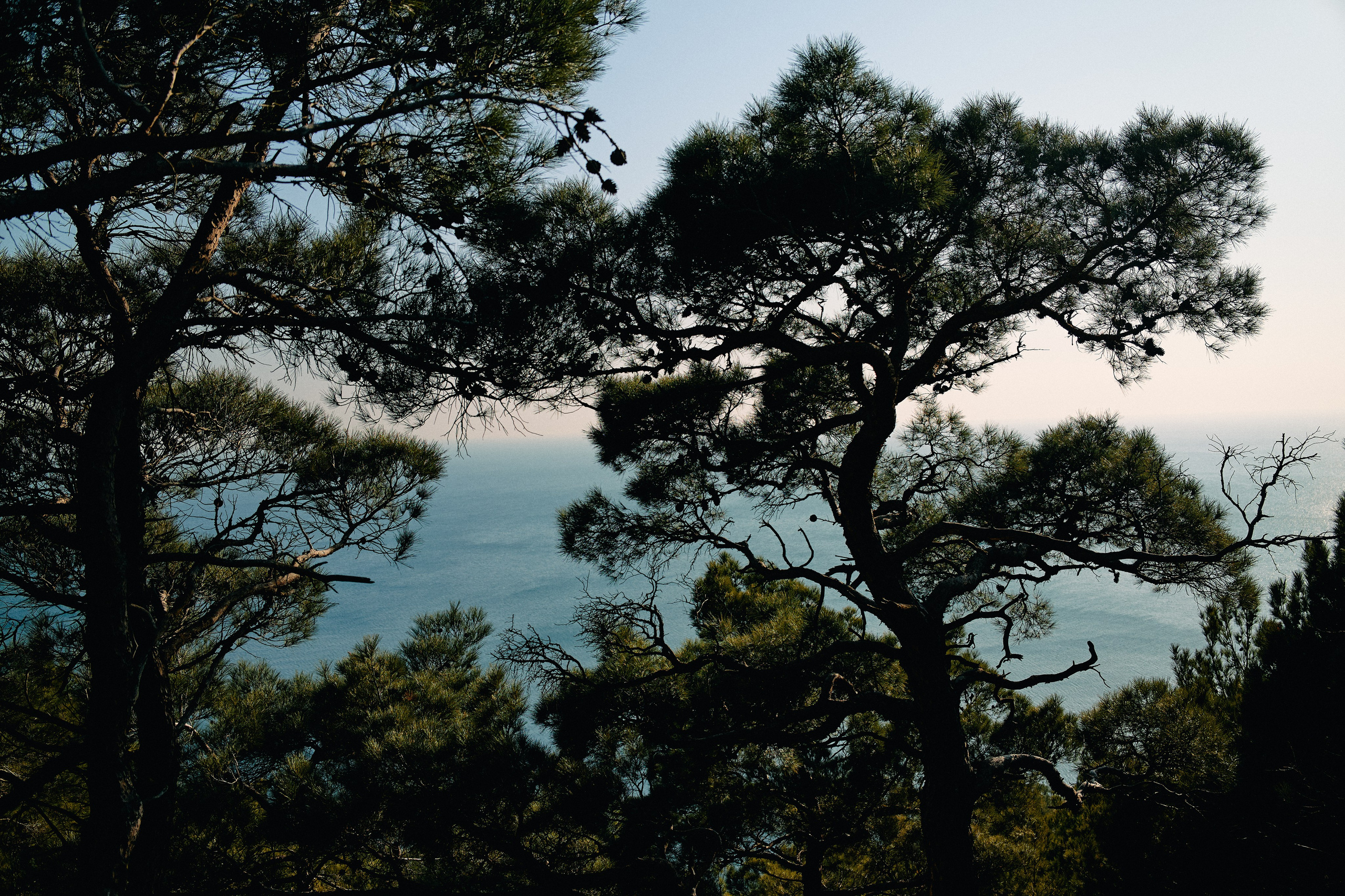Юг России. Профессиональный Фотограф во Владимире, в Москве и в Суздале — Полина Романычева