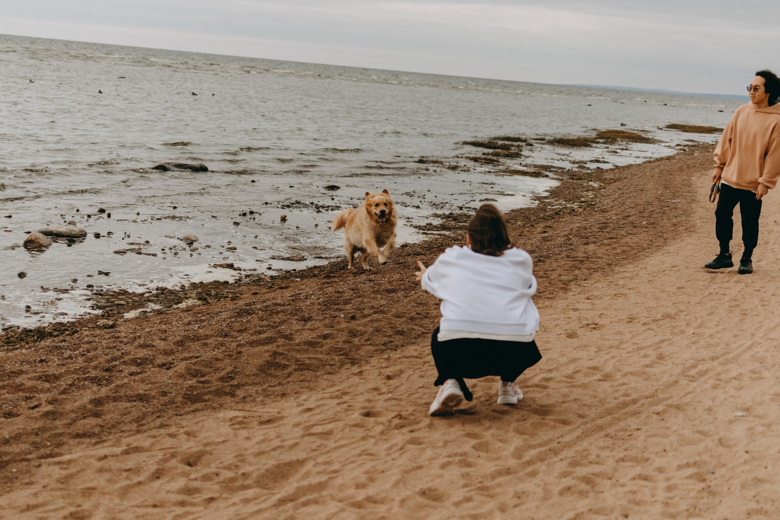 Фоси и его семьи. Фотограф — Анималист | Санкт-Петербург