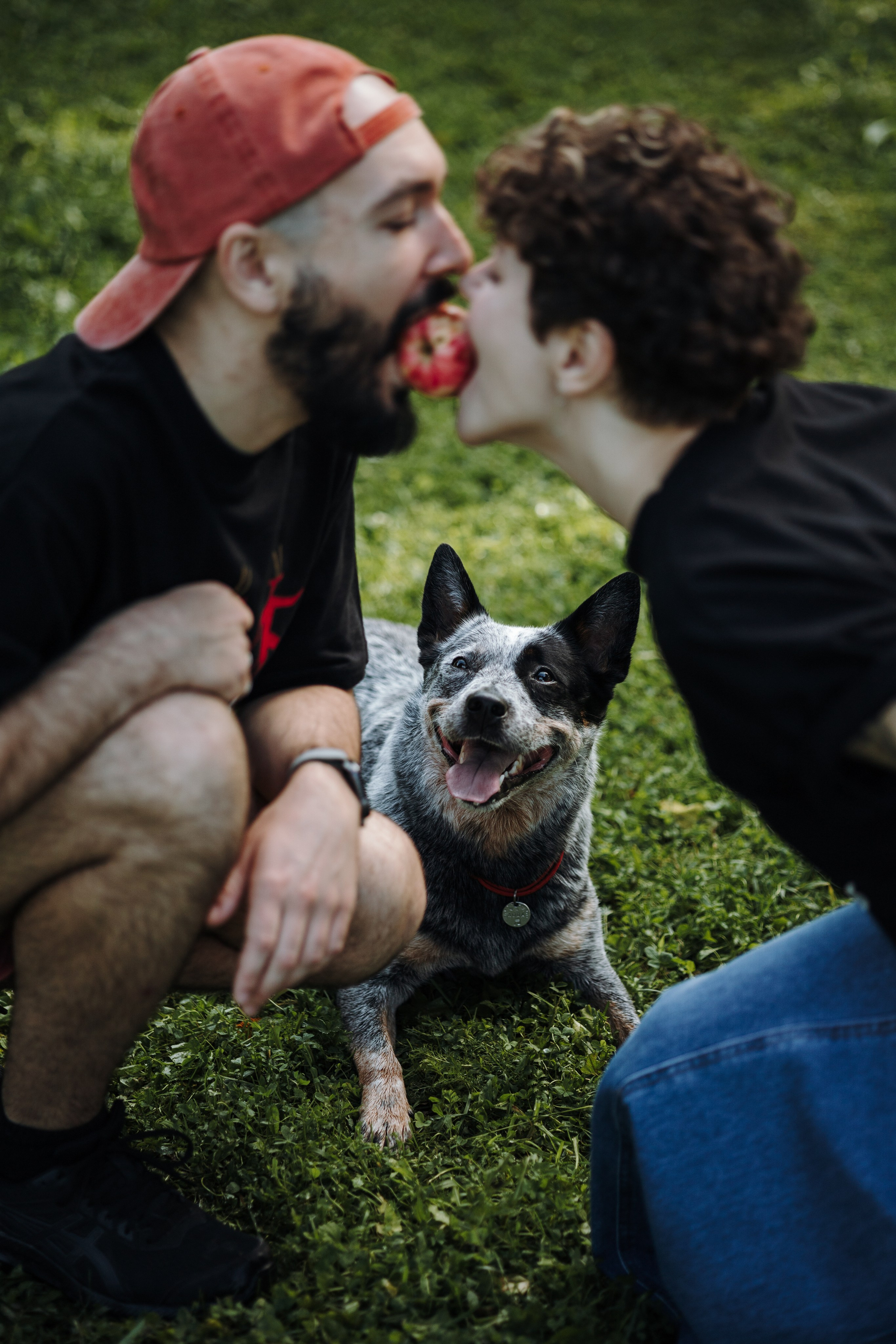 Кода и ее семья. Фотограф — Анималист | Санкт-Петербург