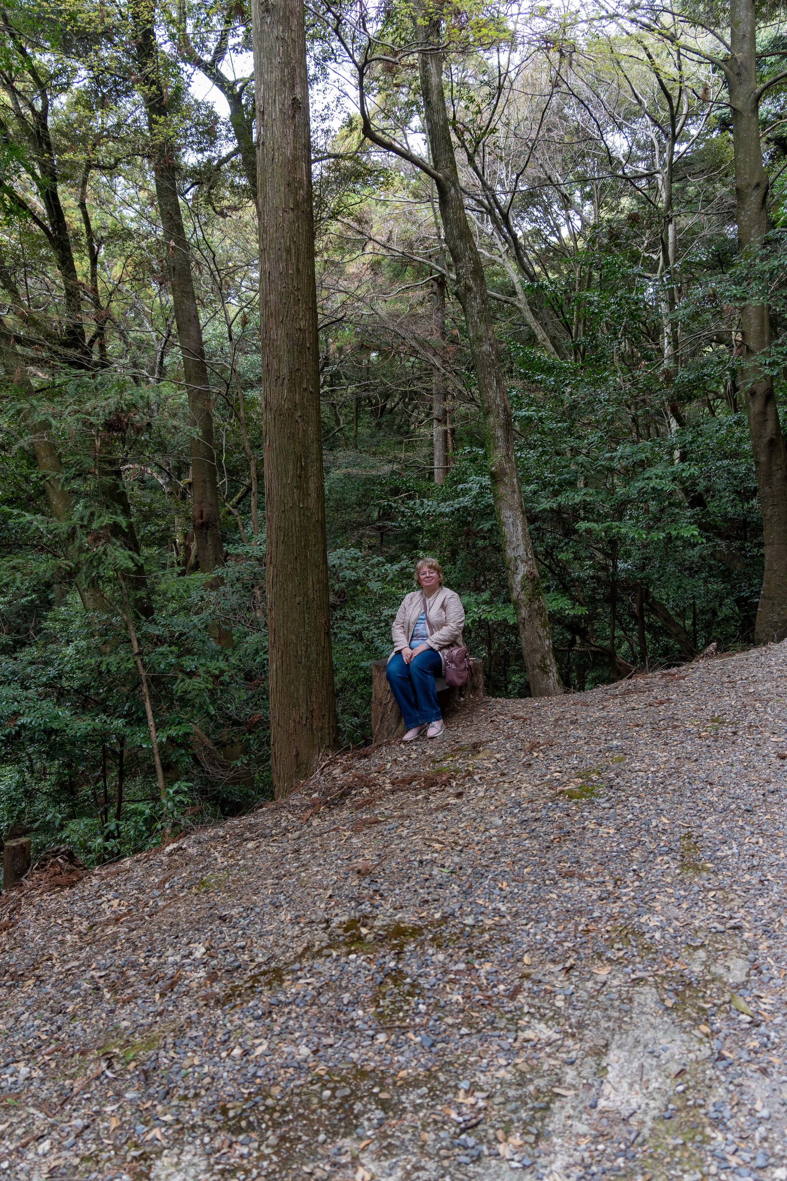 Япония, сакура. Творческие сьемки