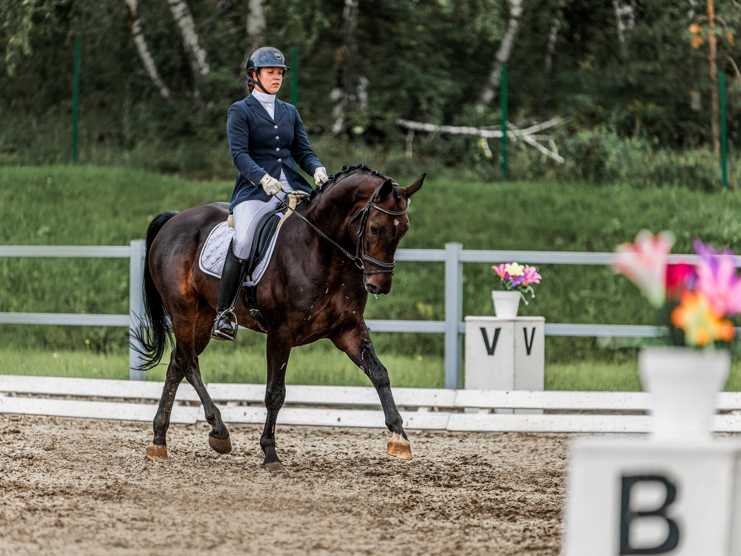 2025. Конный фотограф в Красноярске — Любовь Похабова