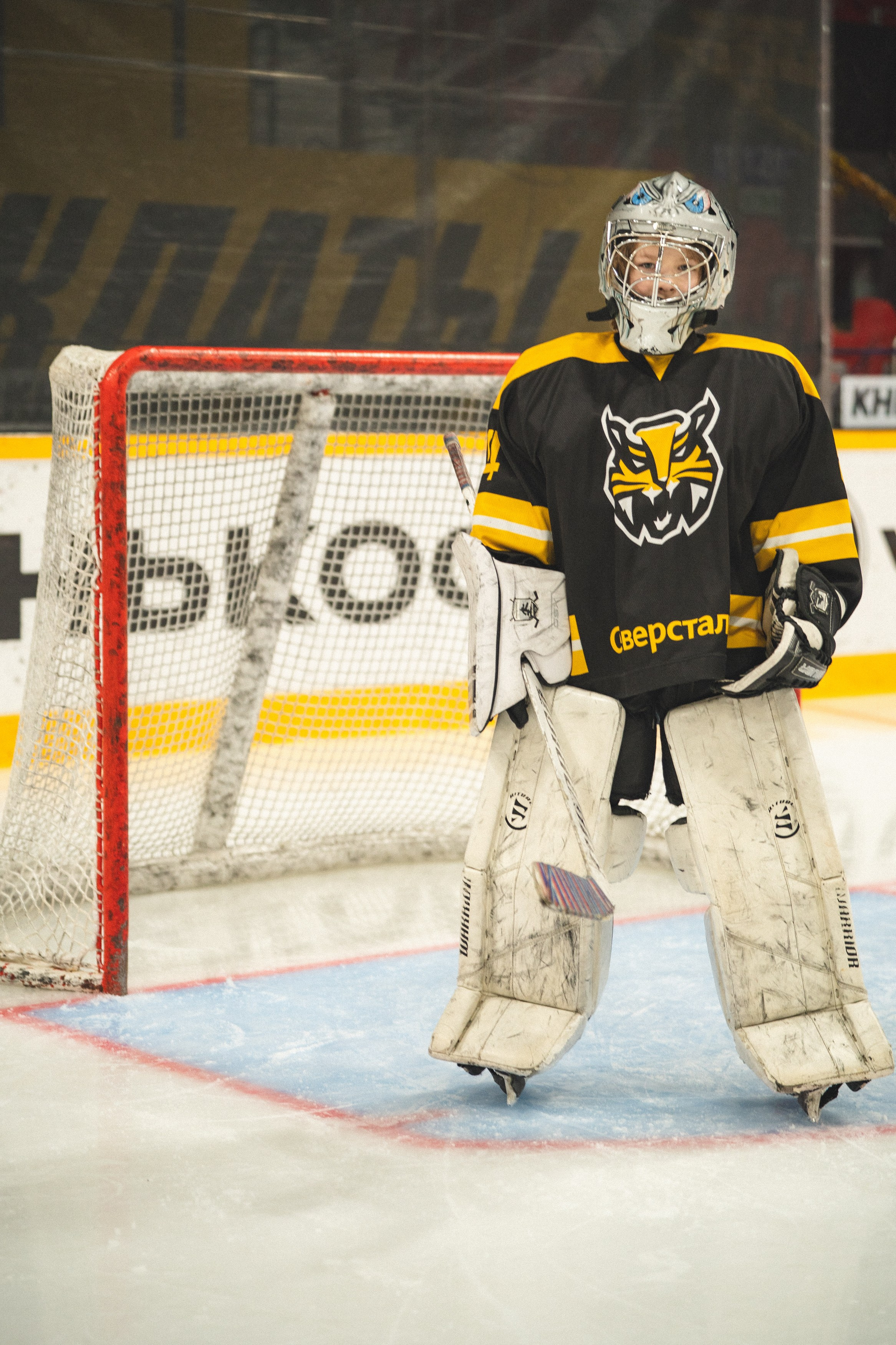 ХК Северсталь (младшая группа). Череповец. Zekons. Фото, видео, нейросети