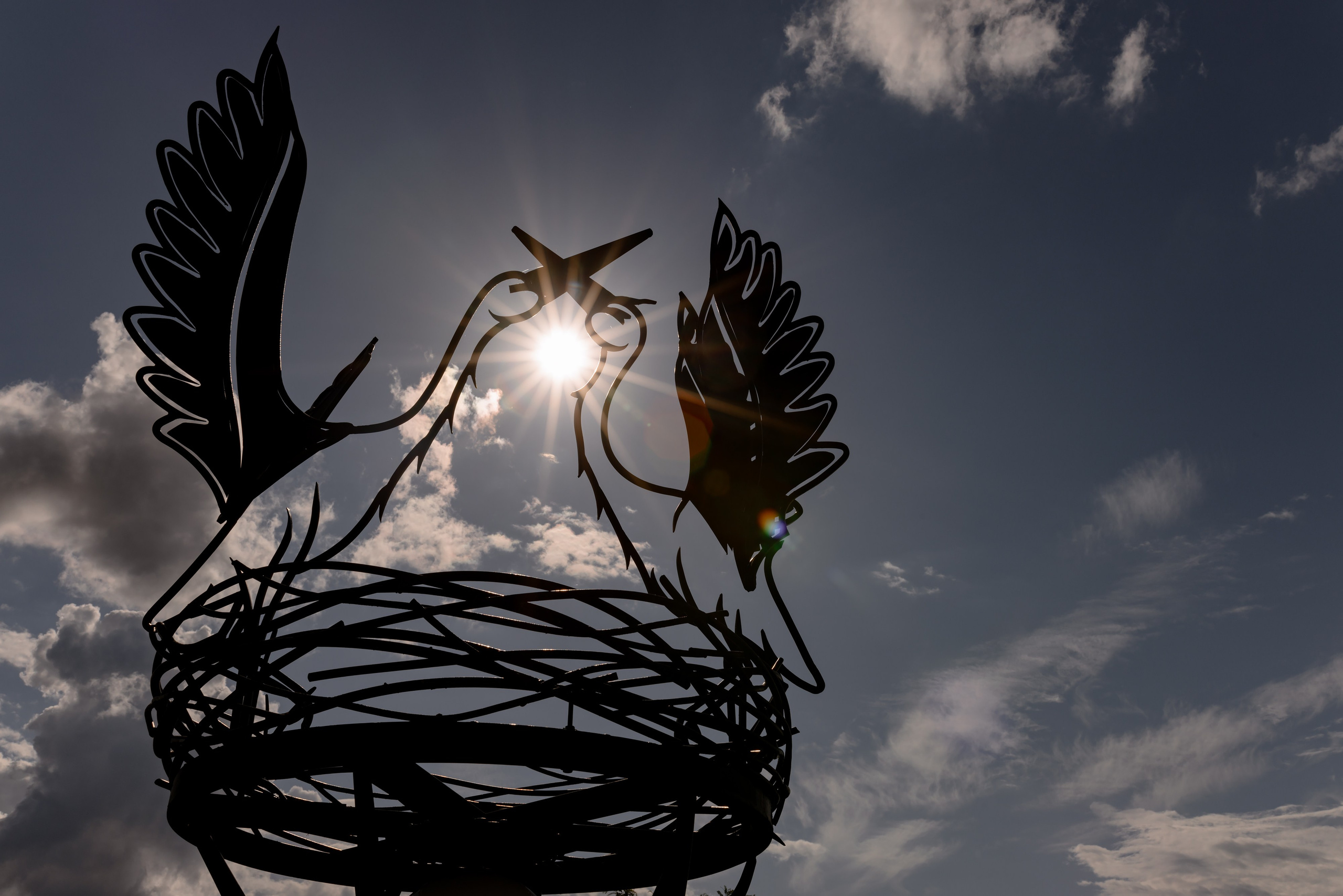 Станислав & Дарья. Дмитрий Позняк — свадебный фотограф в Брянске. Личный сайт фотографа