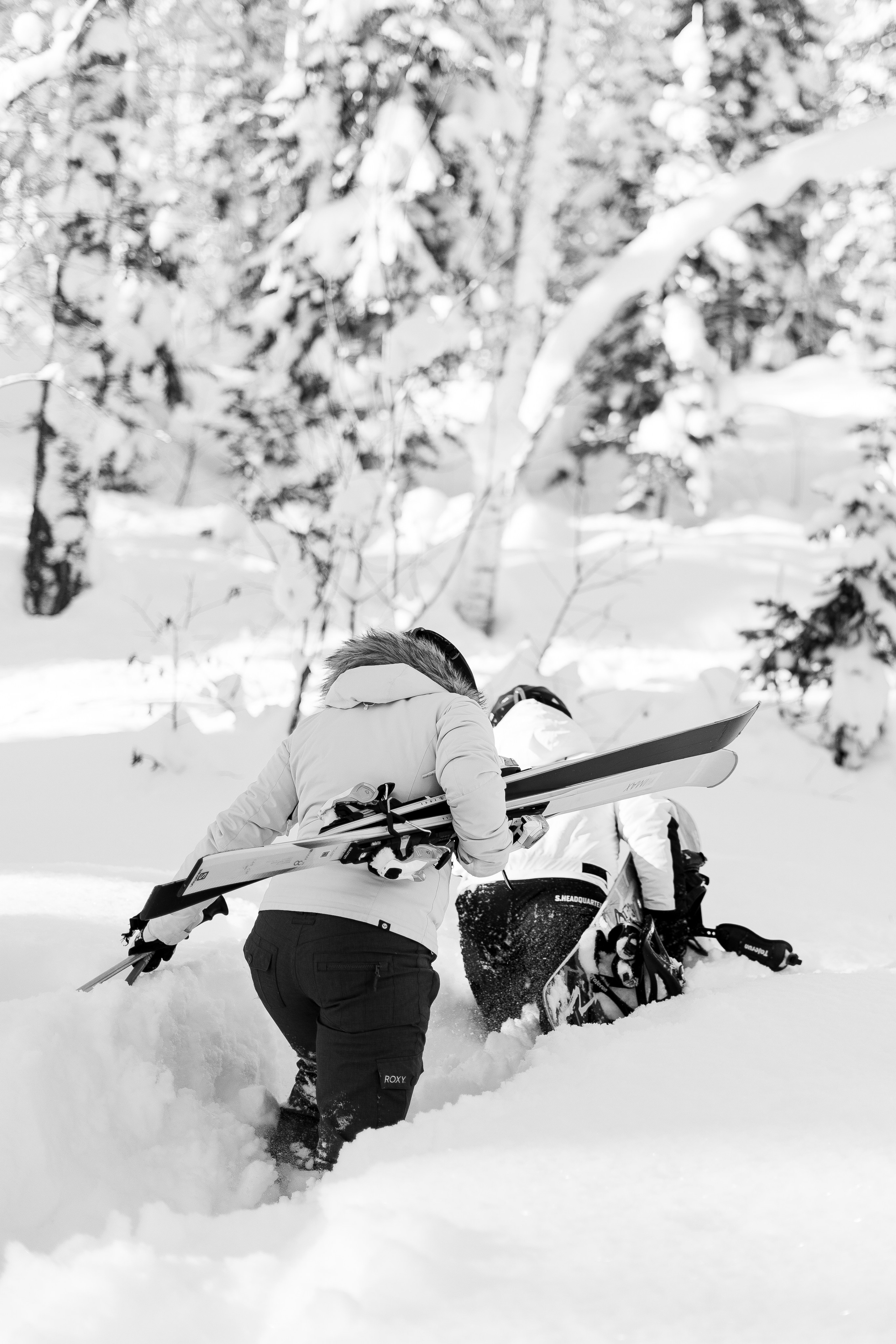 Прогулка Сектор Е. Анастасия Паршукова — фотограф Шерегеш Новосибирск