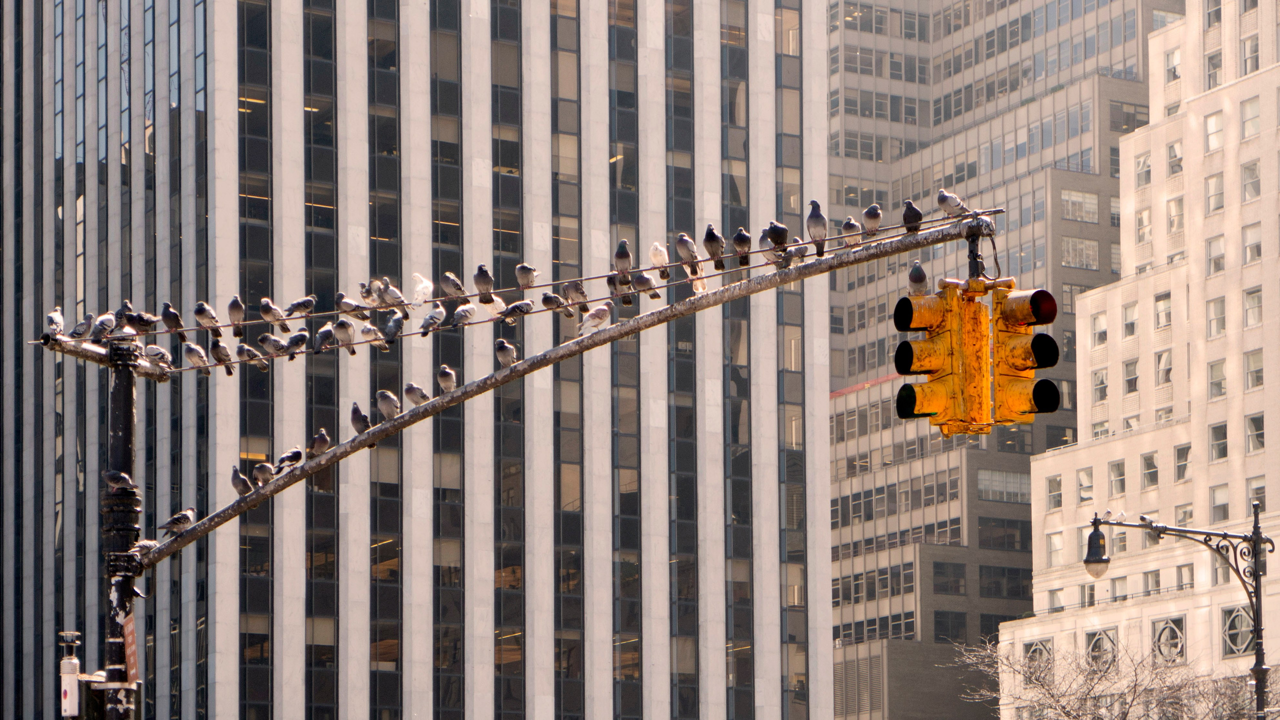Жанр. Фотограф Лагутин Анатолий
