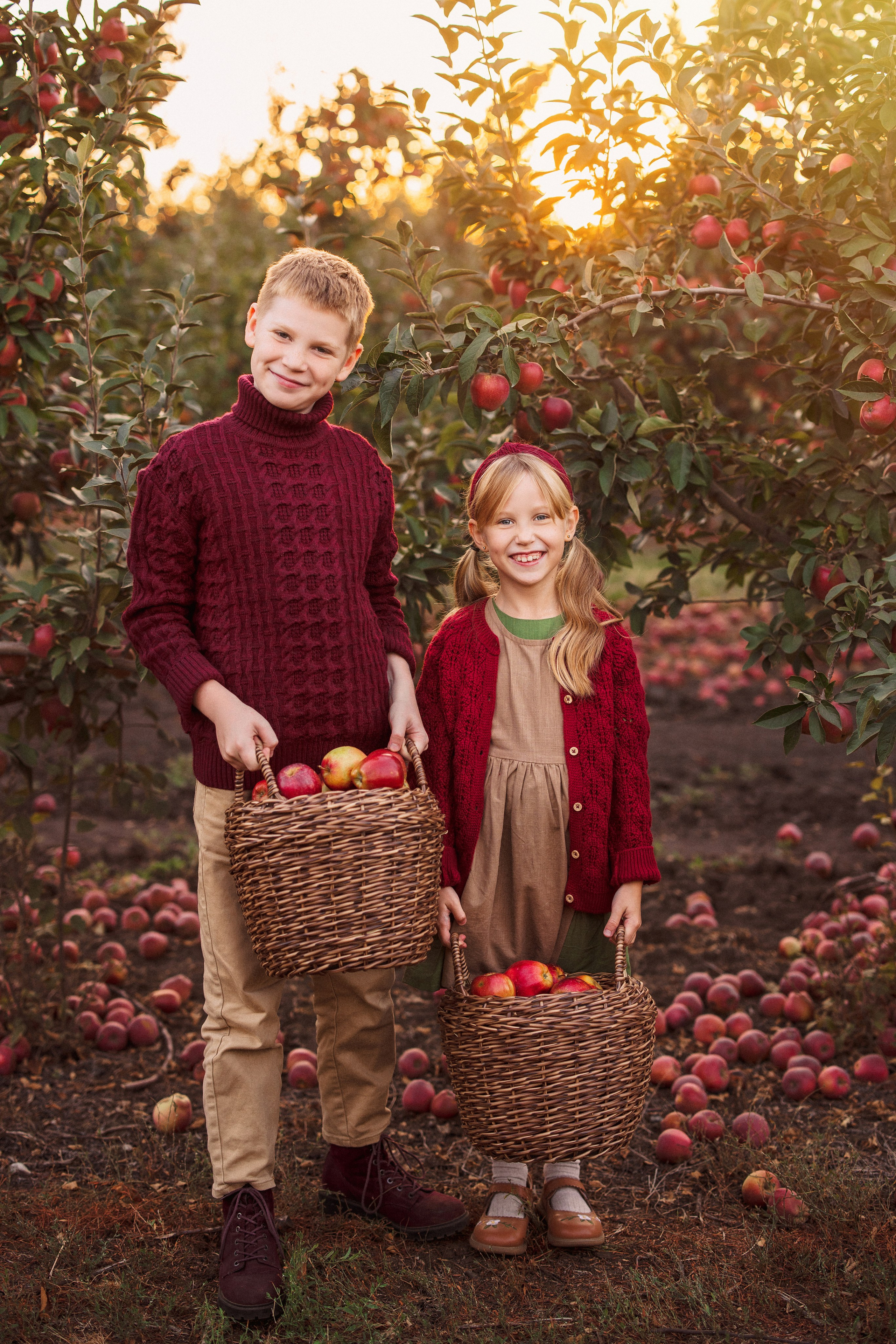 Сбор урожая Яблок. Семейный и детский фотограф в Краснодаре Анна Трашкова