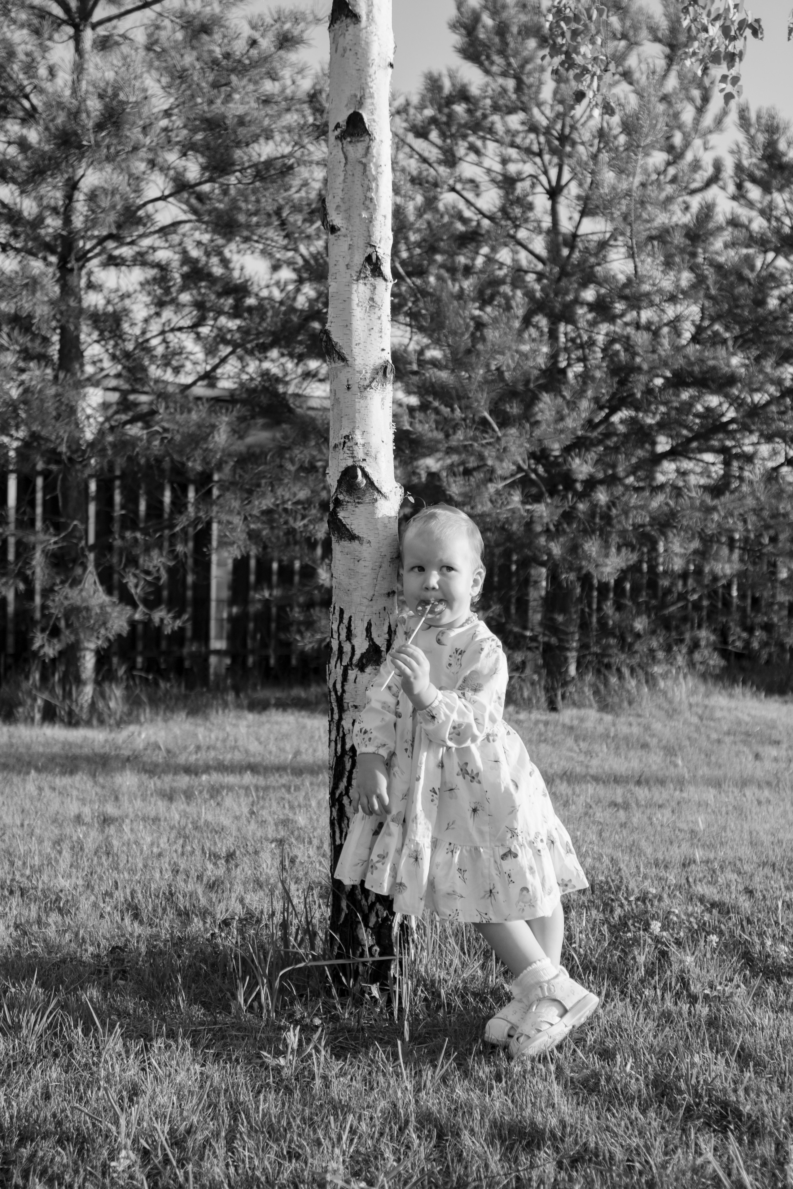 Анастасия. 2 года. Фотограф Дарья Морозова