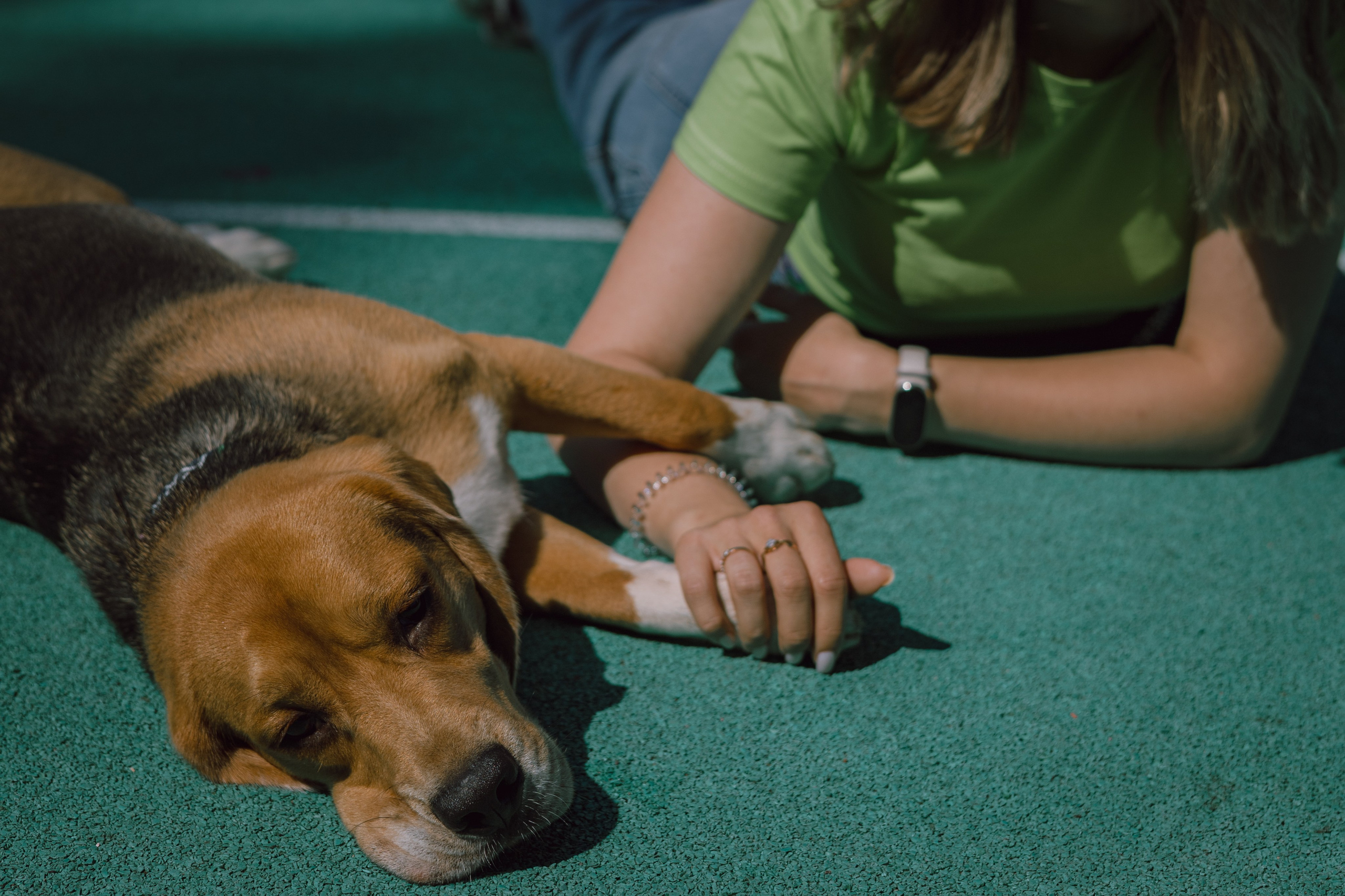 Оуджи и Катя. Фотограф — анималист •love-story•|Санкт-Петербург