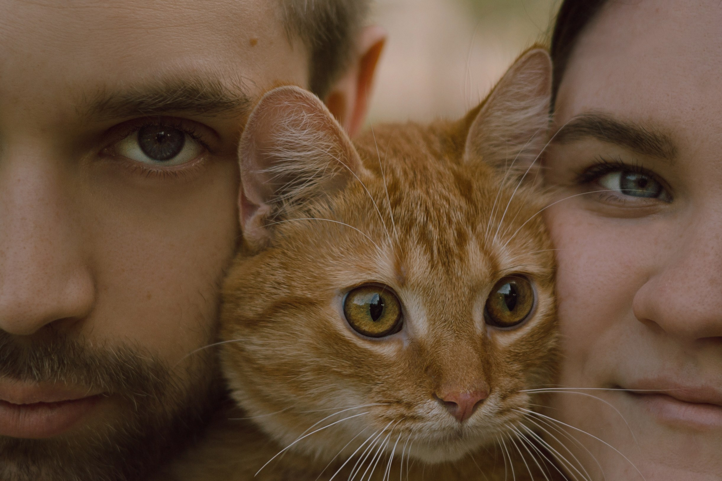 Макс и его семья. Фотограф — анималист •love-story•|Санкт-Петербург