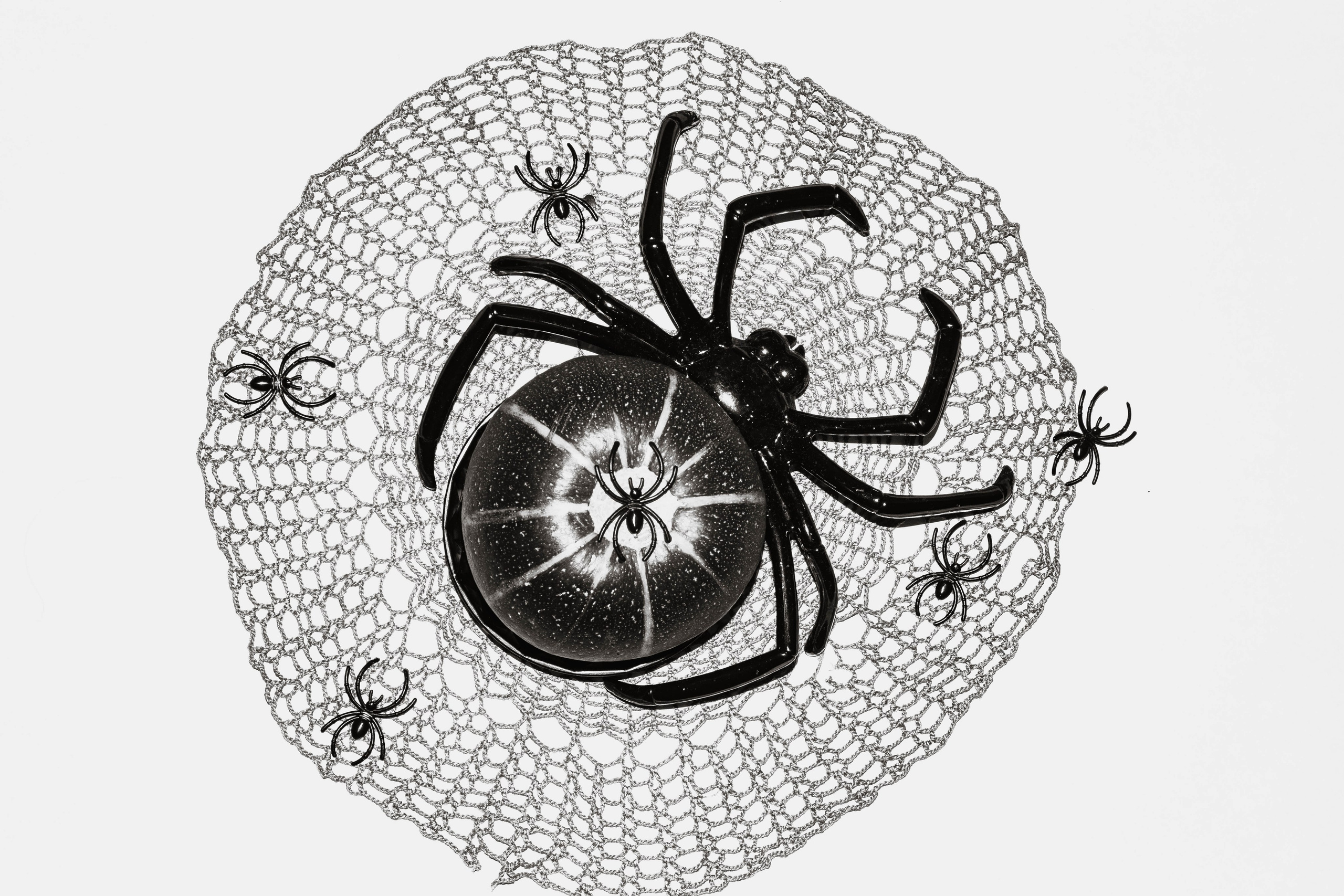 ПРИНТЫ. Виктория Князева| фотограф из Санкт-Петербурга