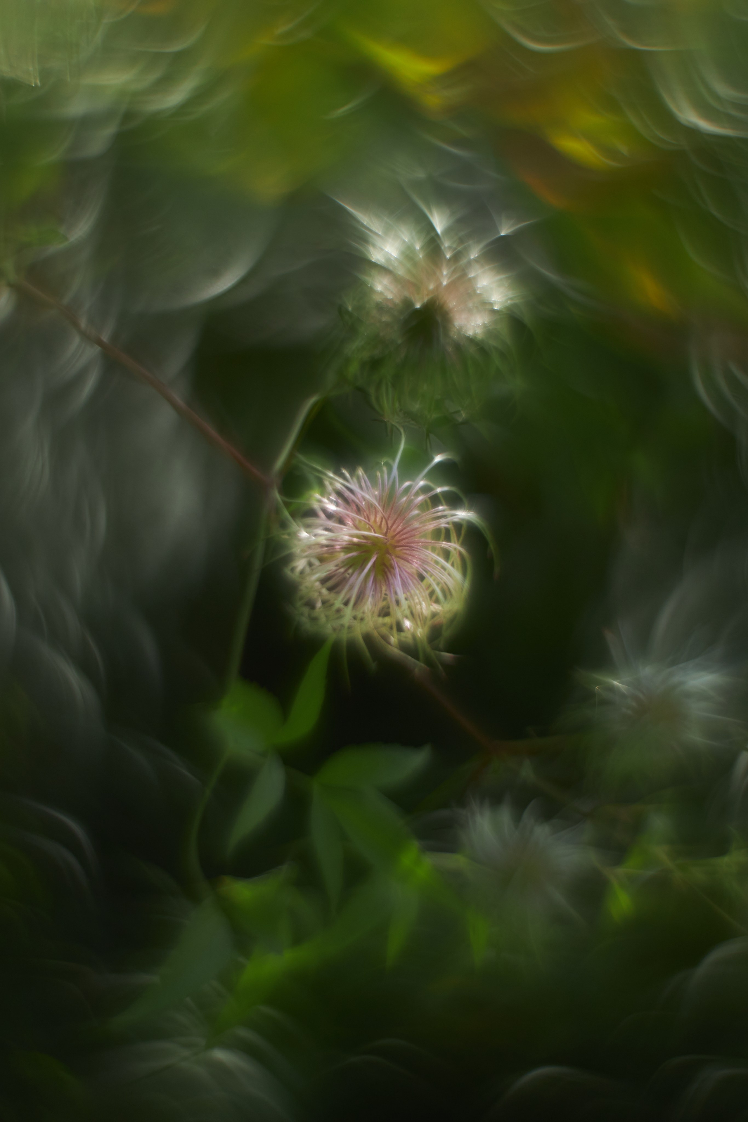 «Незримые Миры». Арт-фотограф во Владивостоке Дмитрий Осипчук