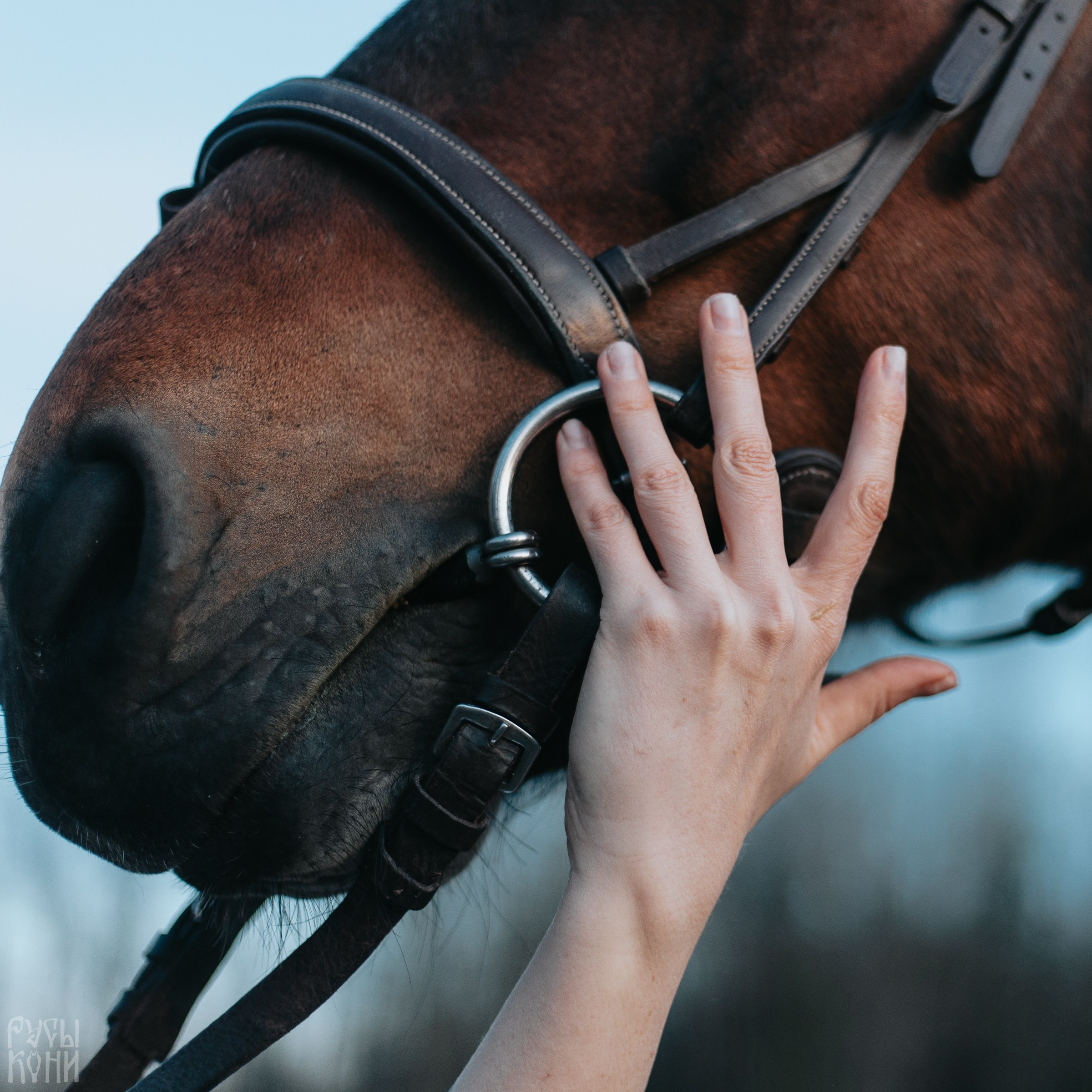 Аня и Майка. Фотограф Елизавета Филатова