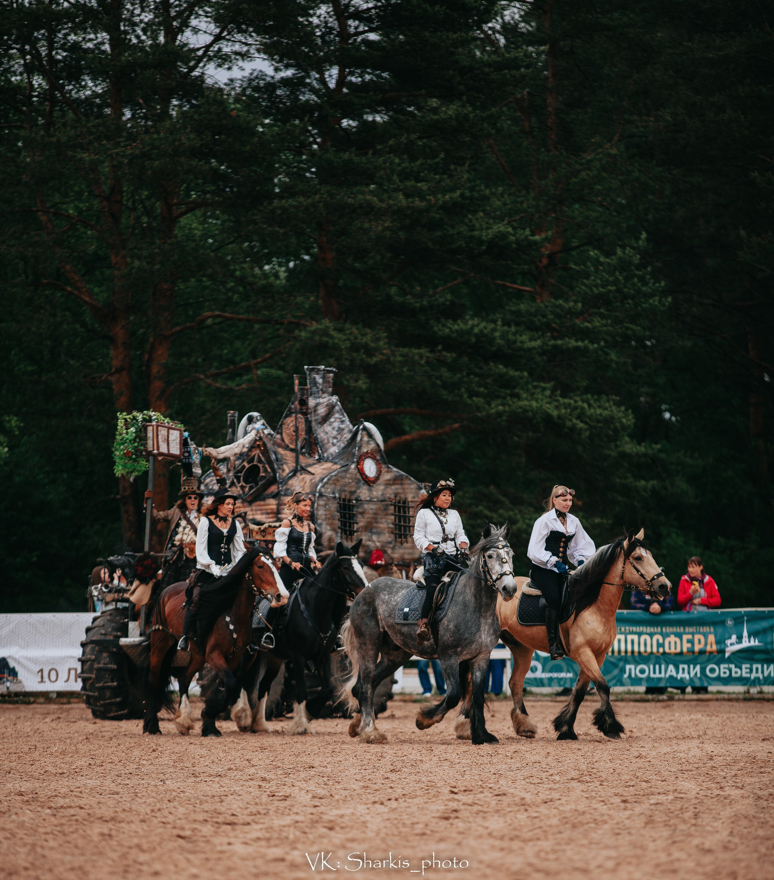 Лошади. Главная