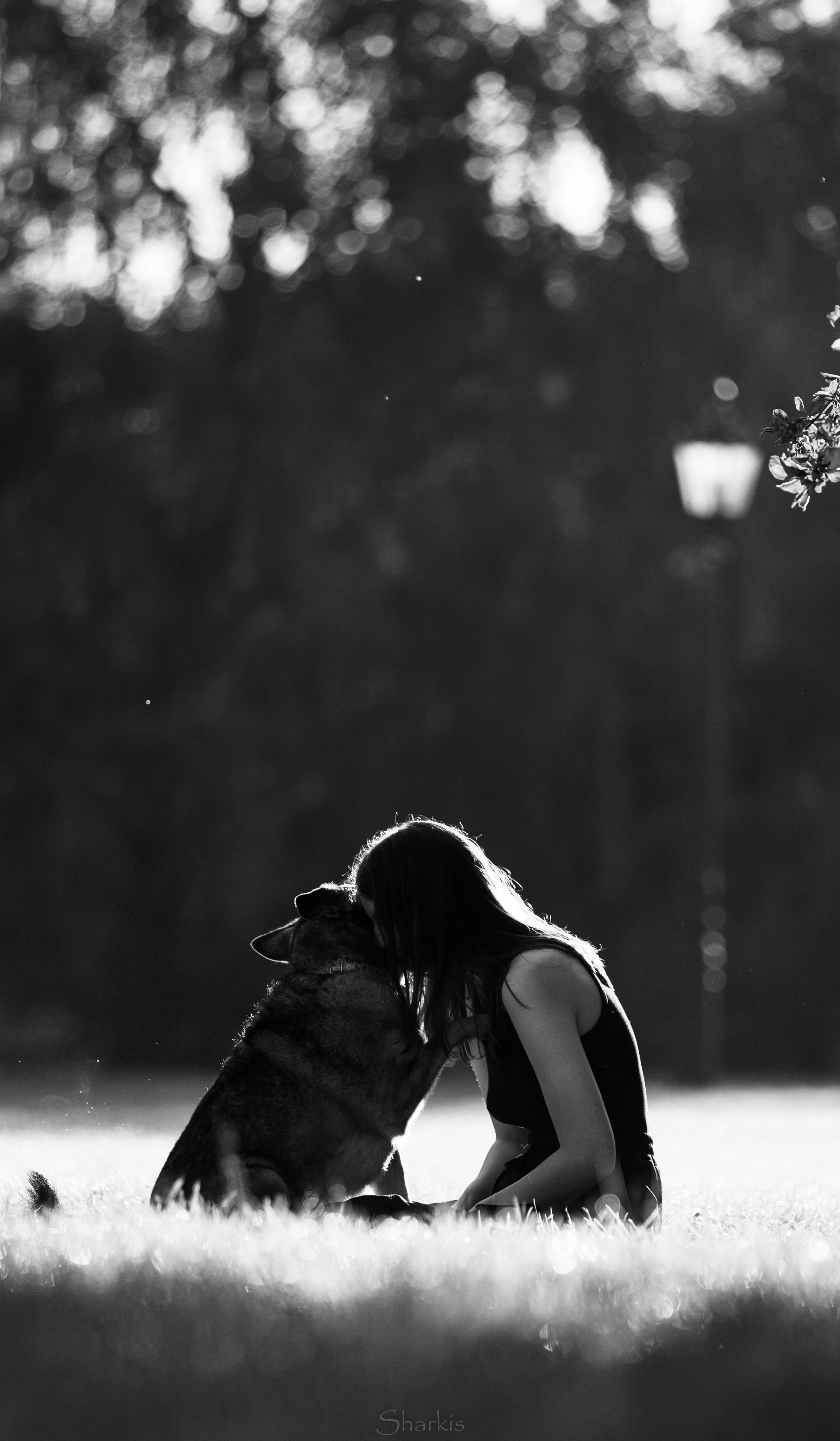 Вега и Гриша. Главная