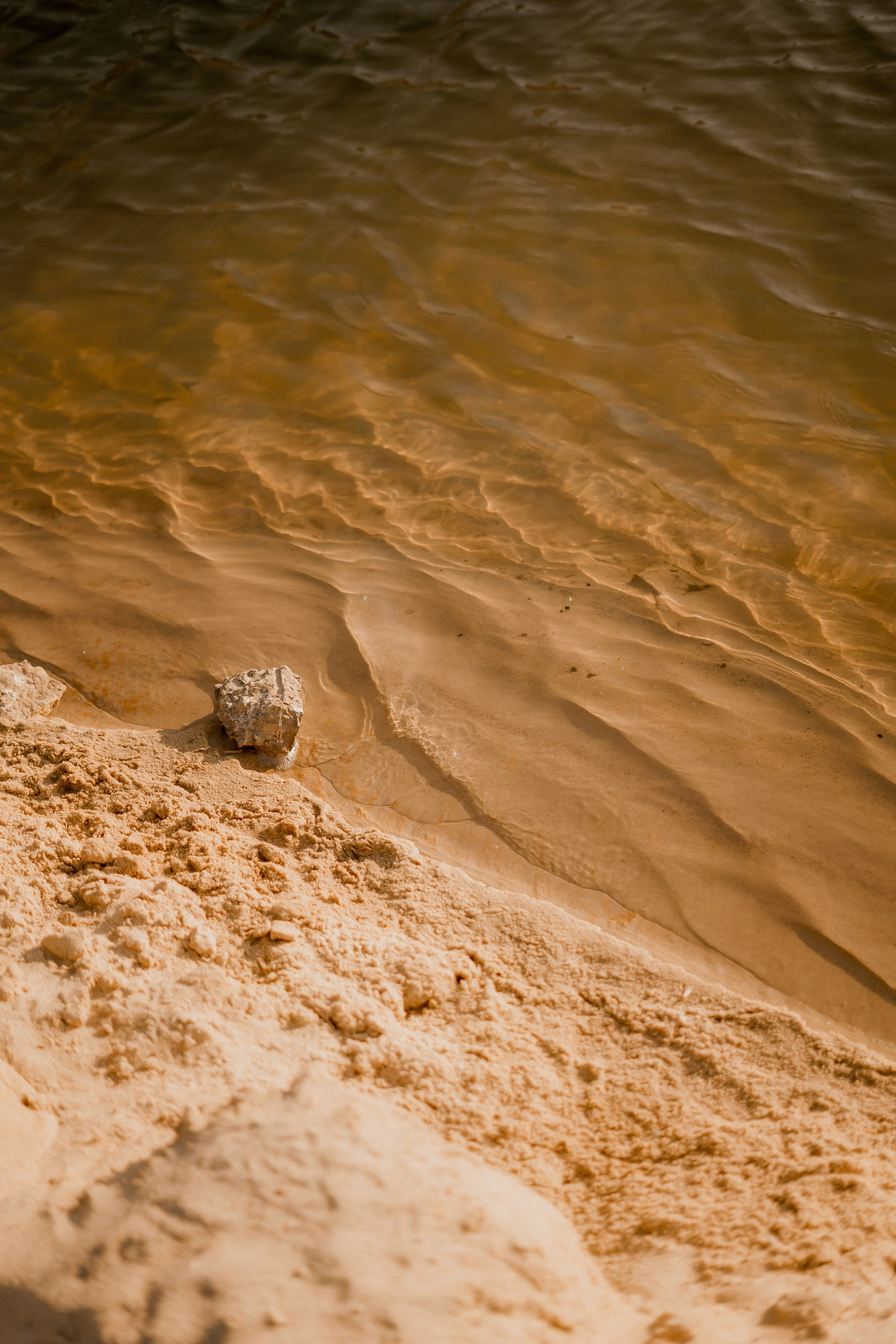 Лена. Фотограф Валерия Крахмалева