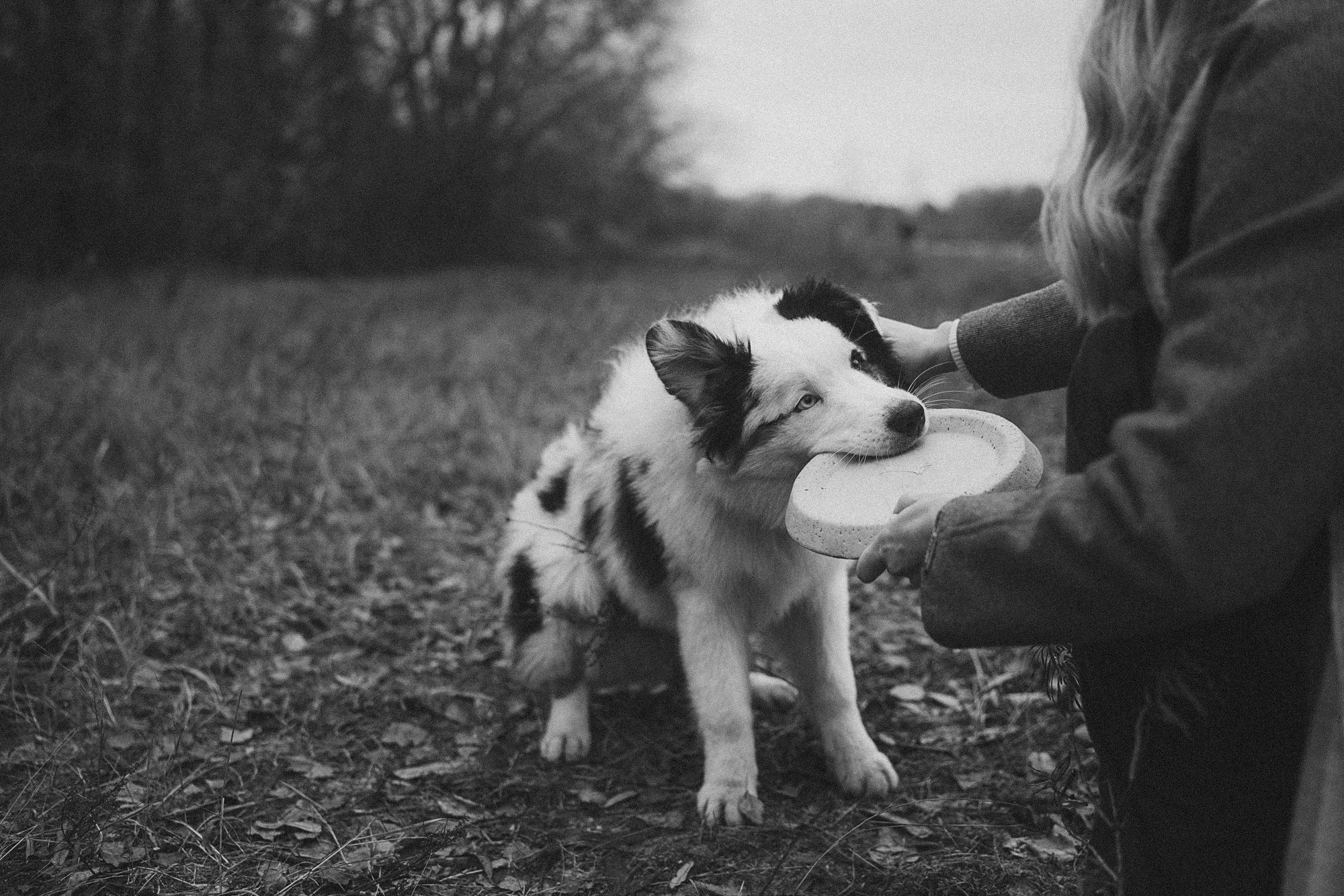 Лиза и Бублик. Фотограф анималист в Москве и Санкт-Петербурге Свиридова Анна