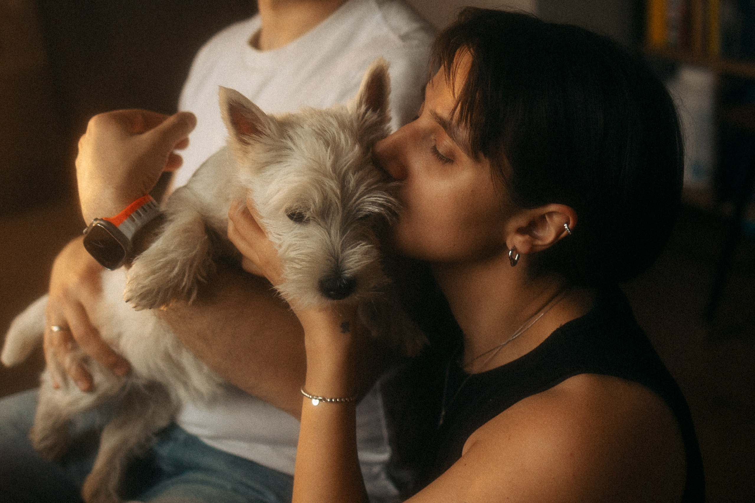 Снежуля, Мари и Саша. Фотограф анималист Анастасия Пикей