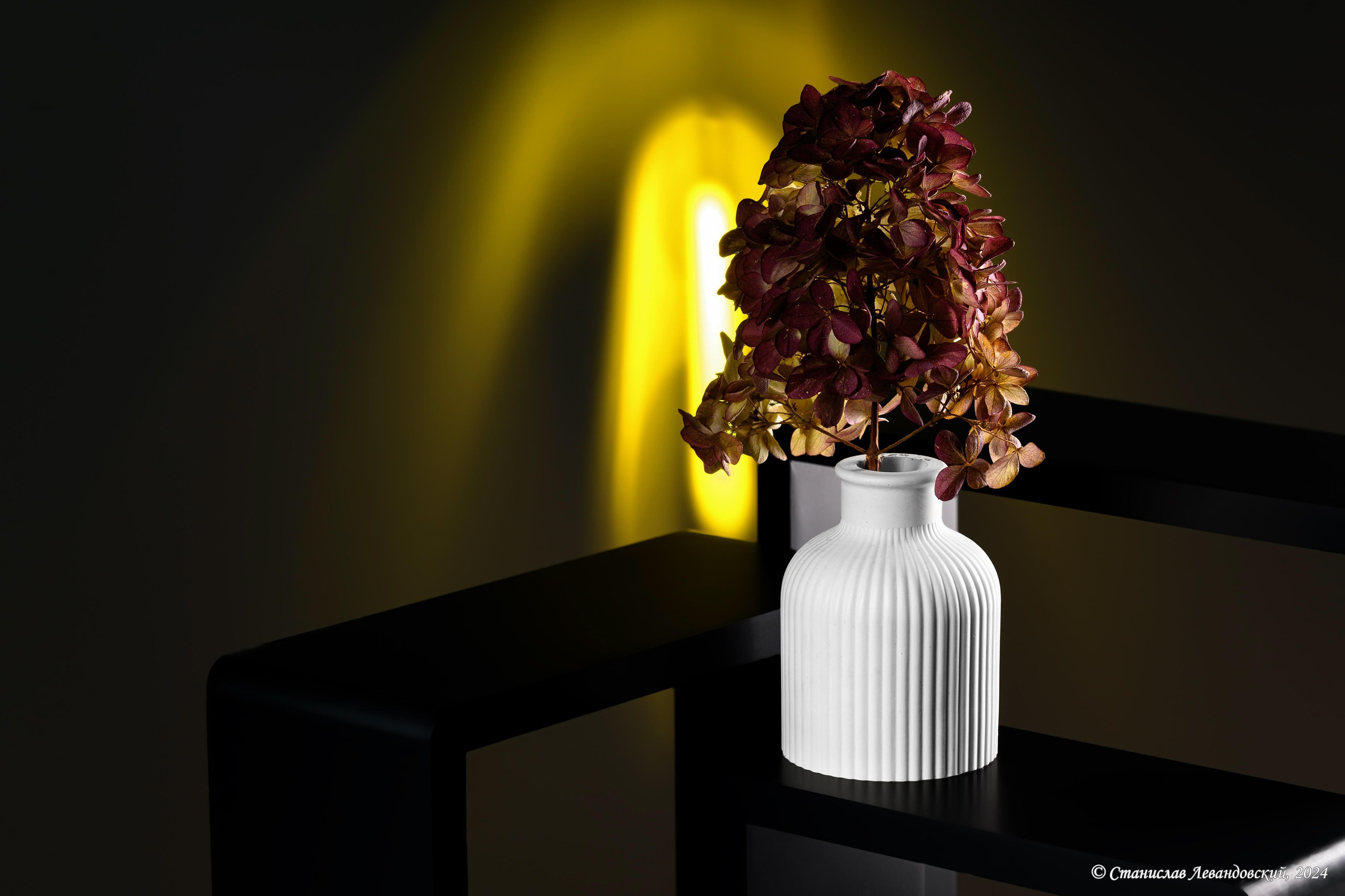 Предметы с матовой поверхностью. Предметный фотограф в Москве Станислав Левандовский