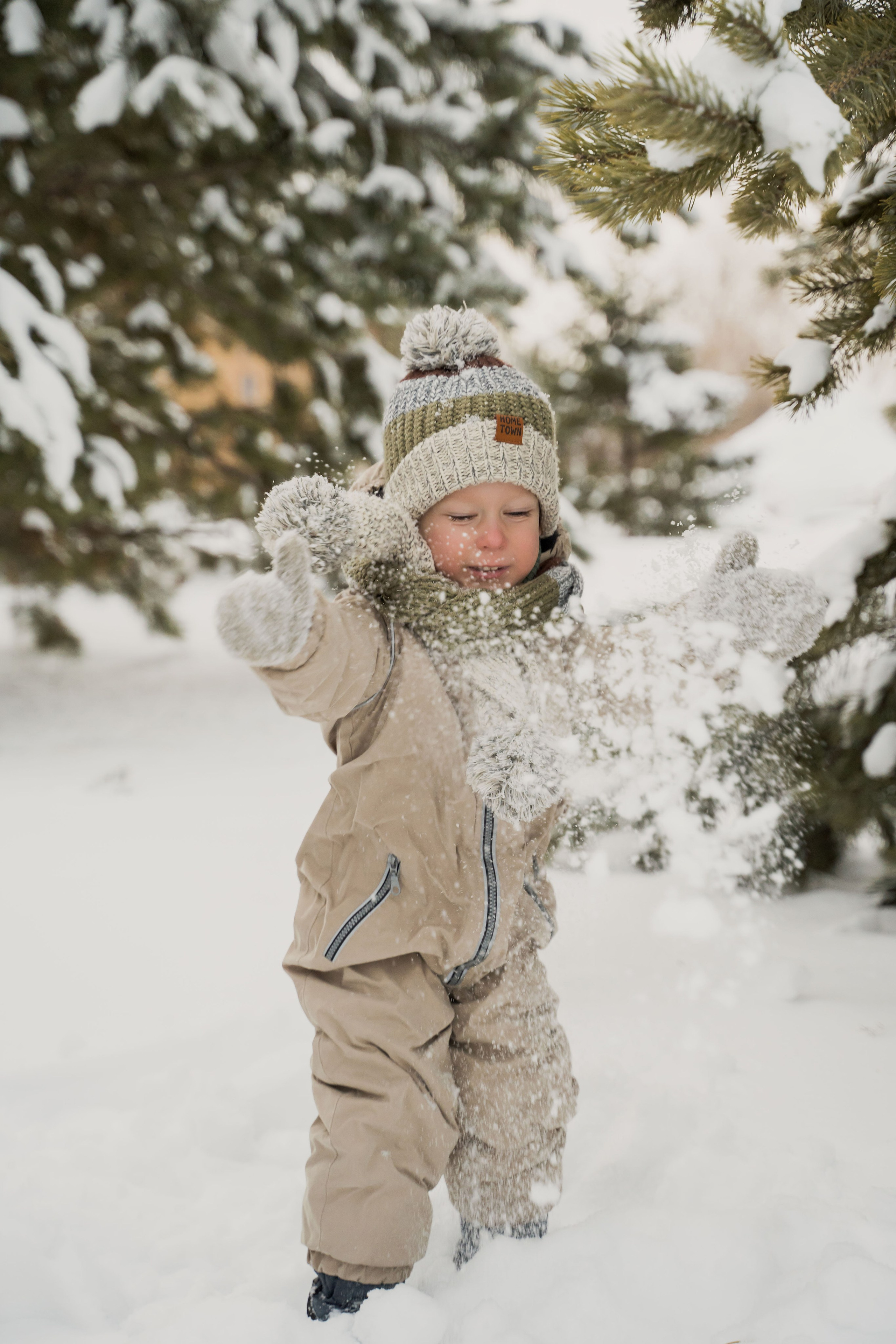 Зимняя прогулка. Главная