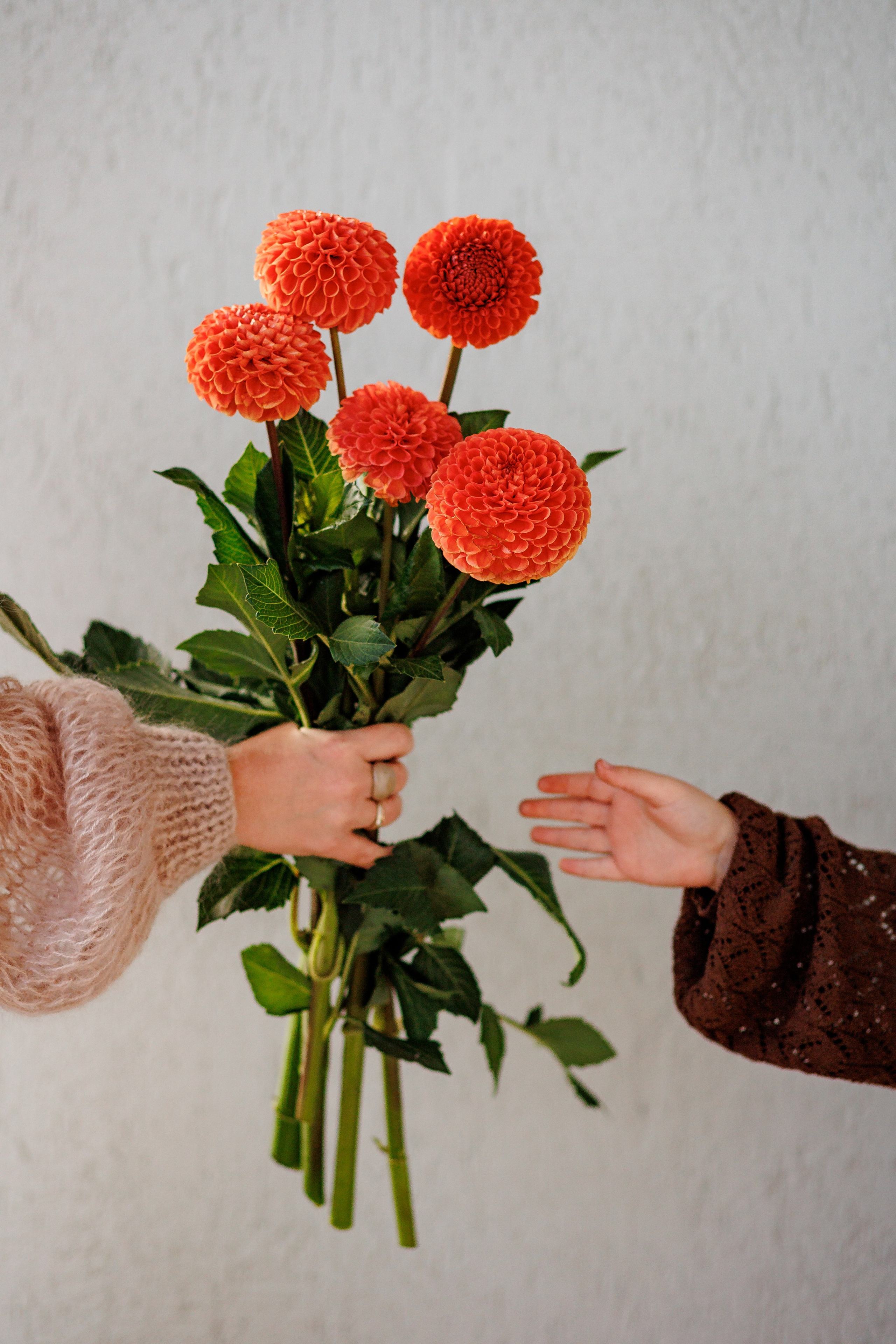 Наташа на ферме. Семейный фотограф в Саратове Юлия Охотникова
