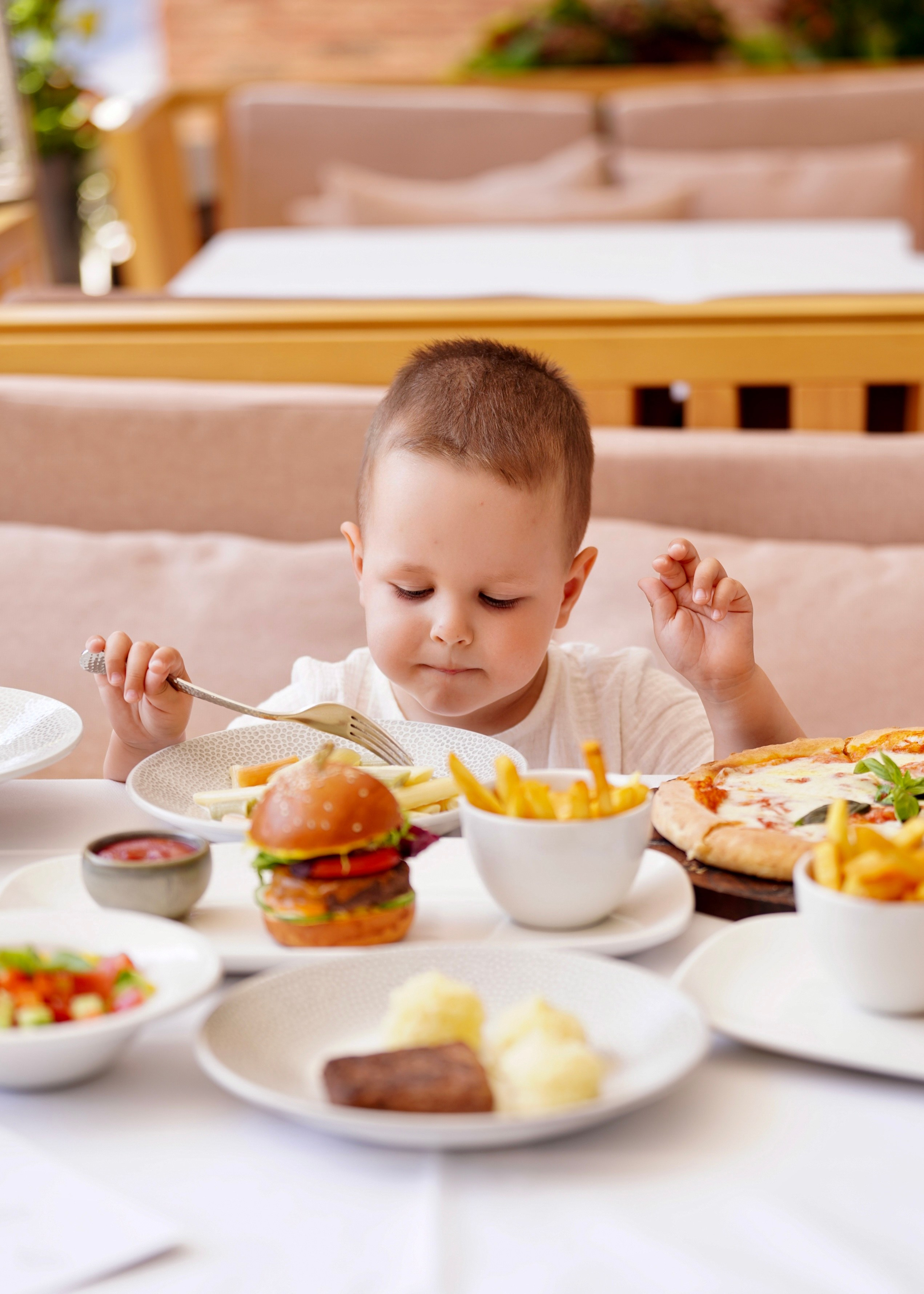 Marani. AMODEO STUDIO