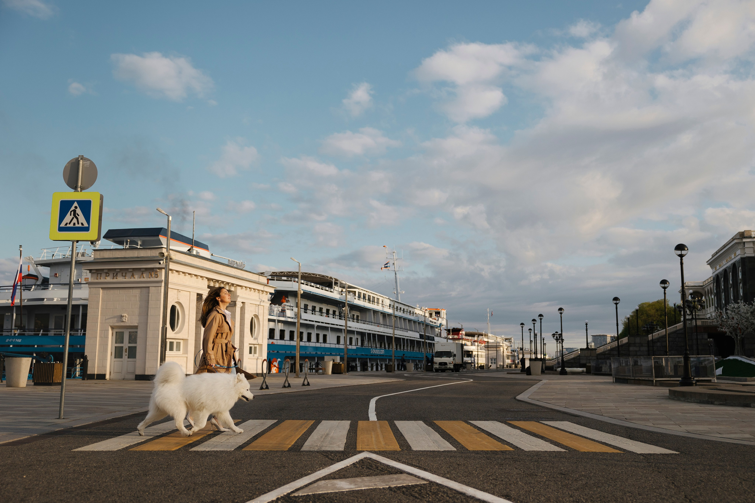 Ната, Панти, Речной Вокзал. Фотограф анималист в Москве Майорова Евгения