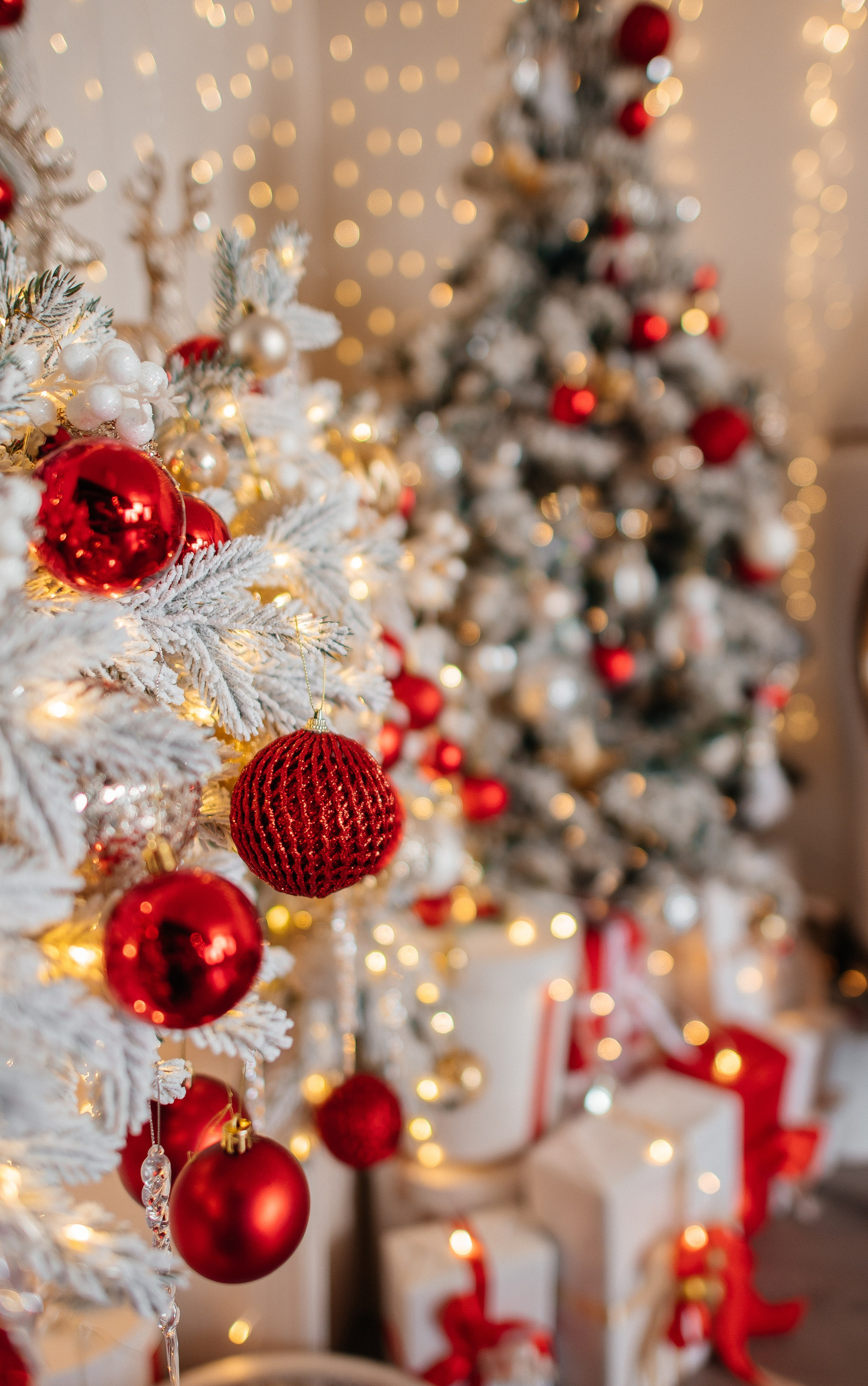 Look. Свадебный фотограф в новокузнецке