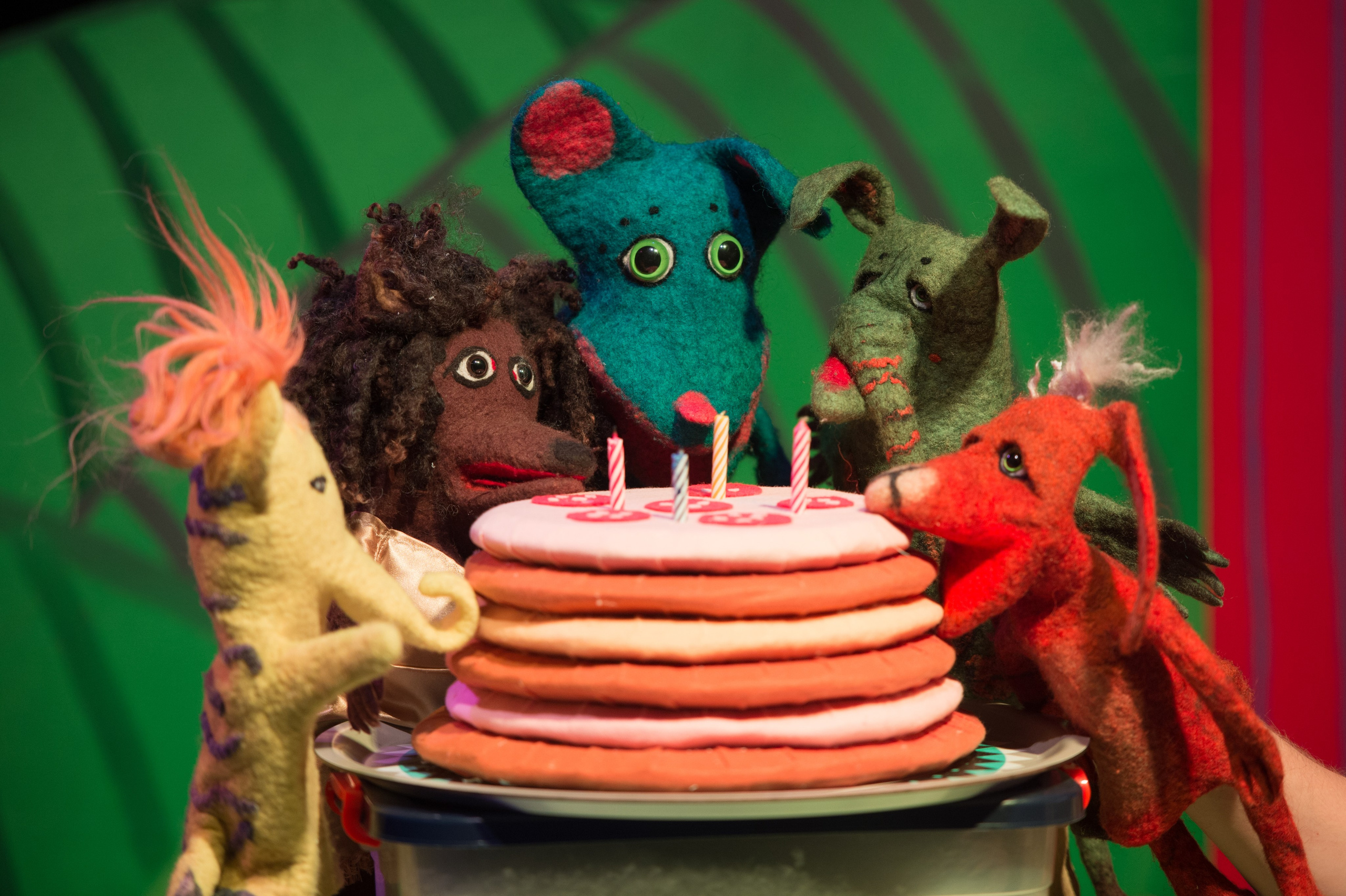 Финдус. Именинный пирог. Фотограф Алиса Калинина