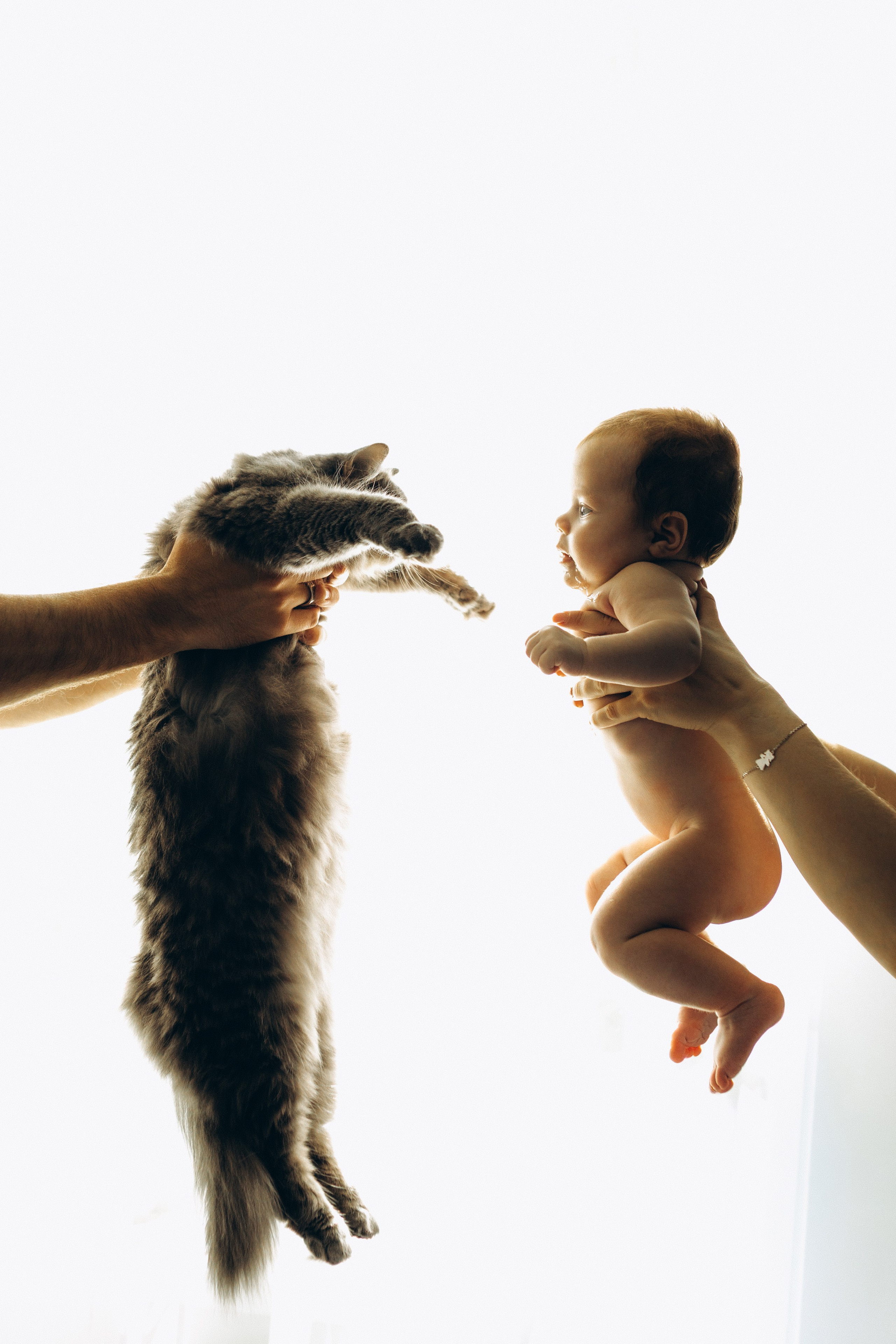 Family moments. Семейный фотограф и фотограф на роды в Ростове-на-Дону Мухина Виктория
