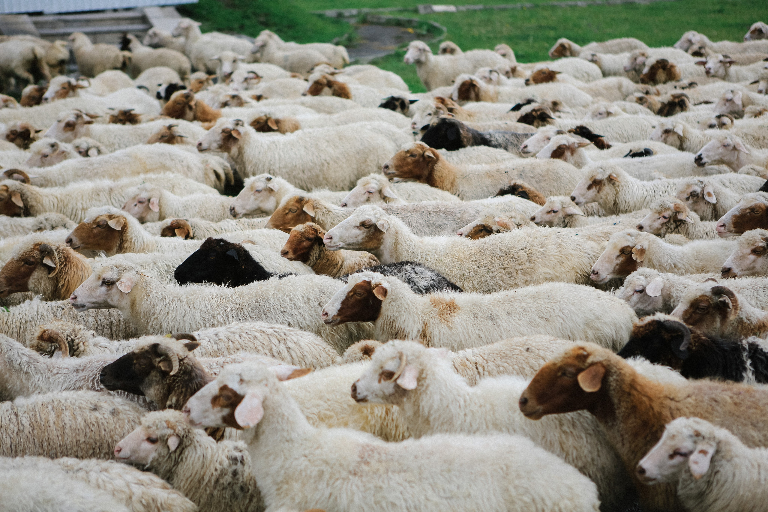 Пресс-тур для Неизвестного Кавказа. Свадебный и портретный фотограф в Пятигорске, КМВ — Власова Юля