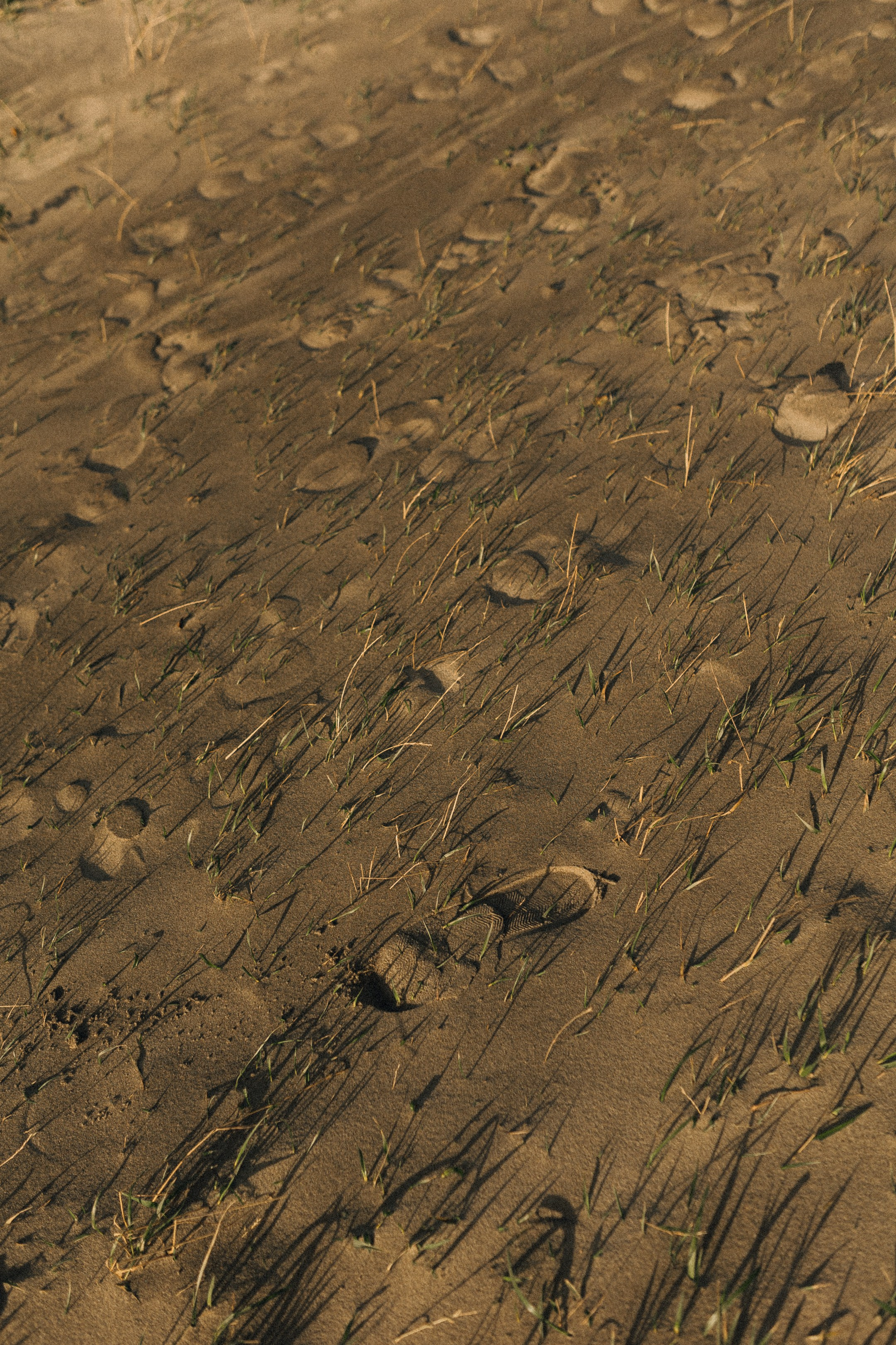 Анастасия и Михаил. Свадебный и портретный фотограф в Калининграде и Москве Марк Юдинцев