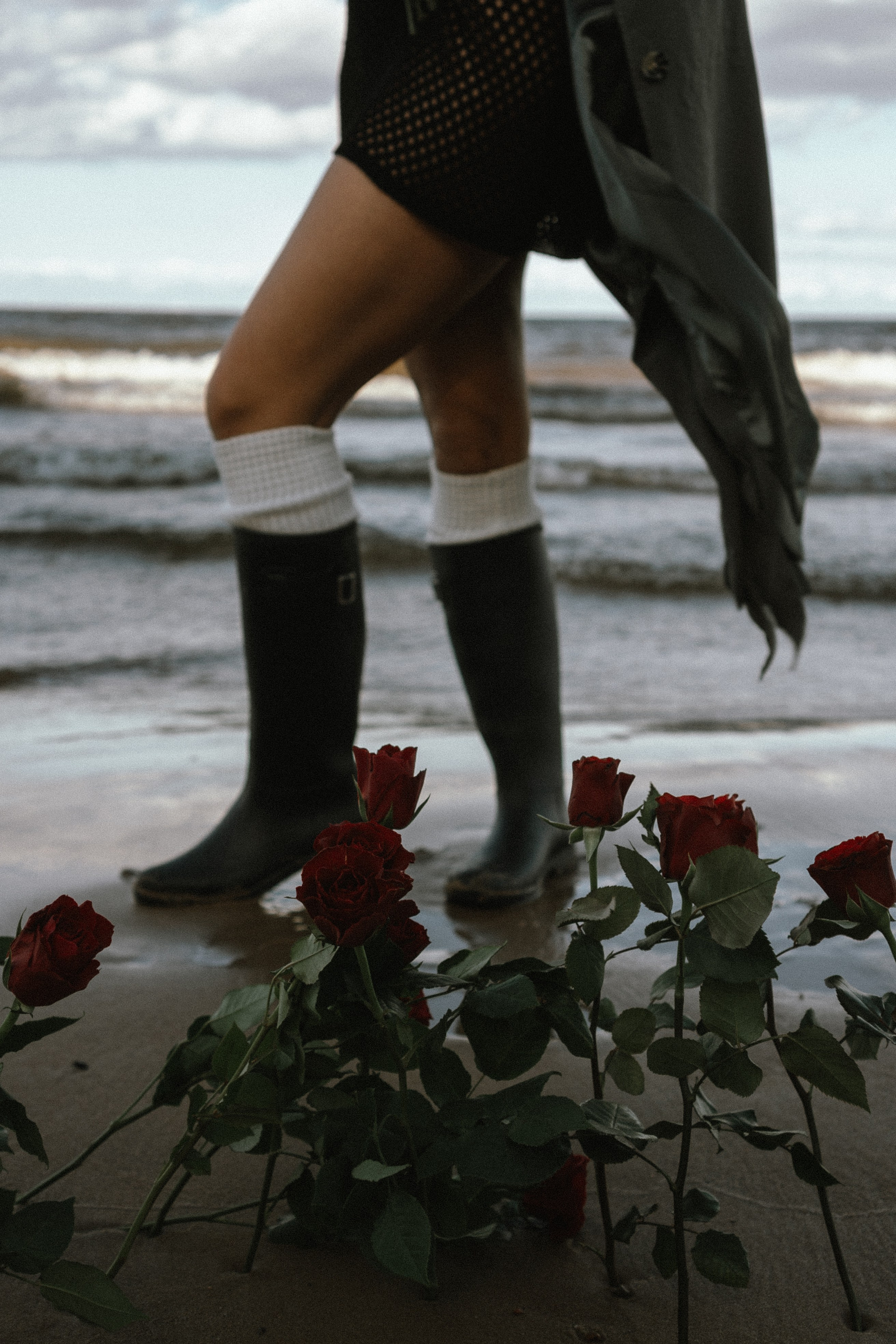 Розы. Профессиональный фотограф, Санкт-Петербург — Виктория Богомолова